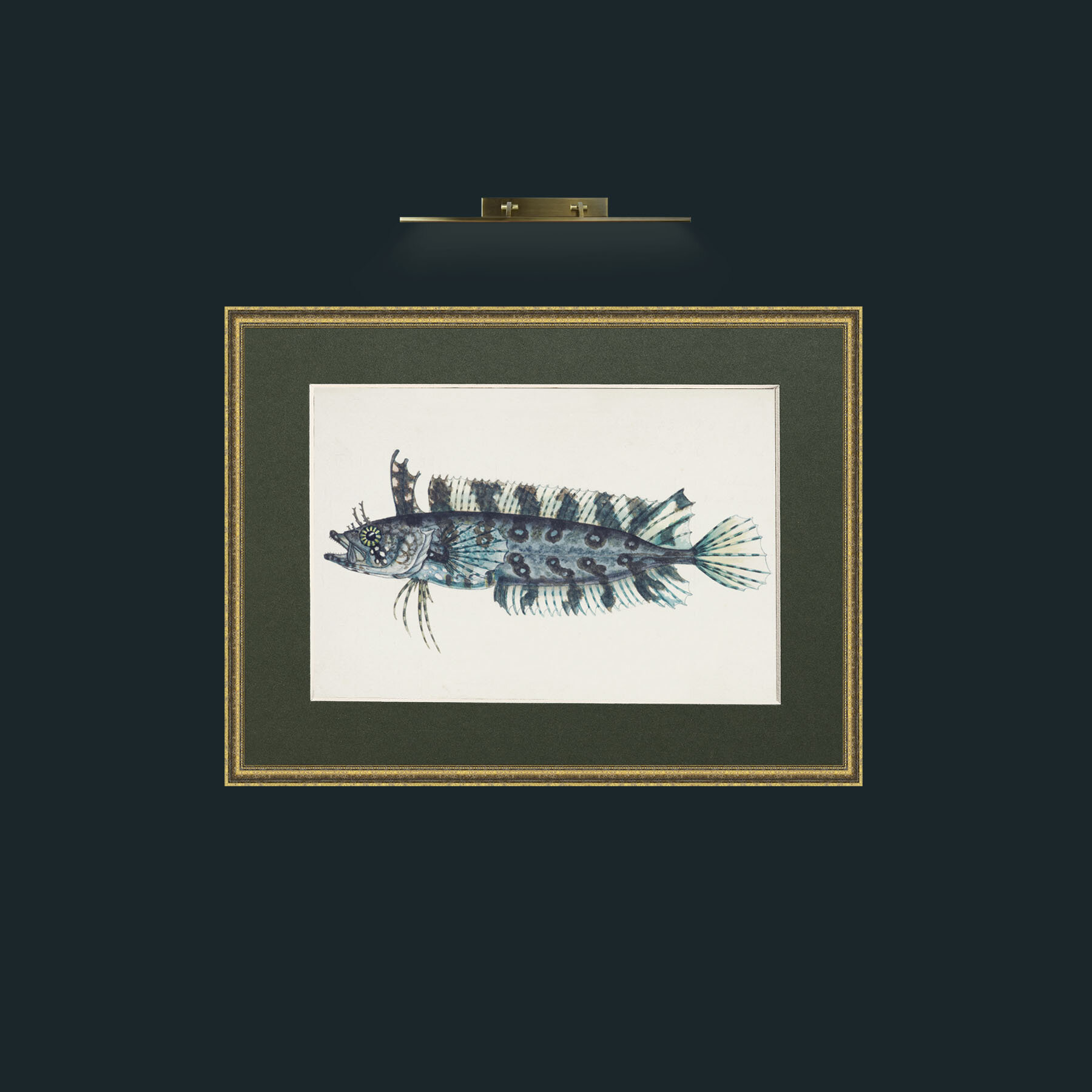 Art-Silver Spotted Cristiceps-Frame-1TexturedGilt-Mount-2Green.jpg