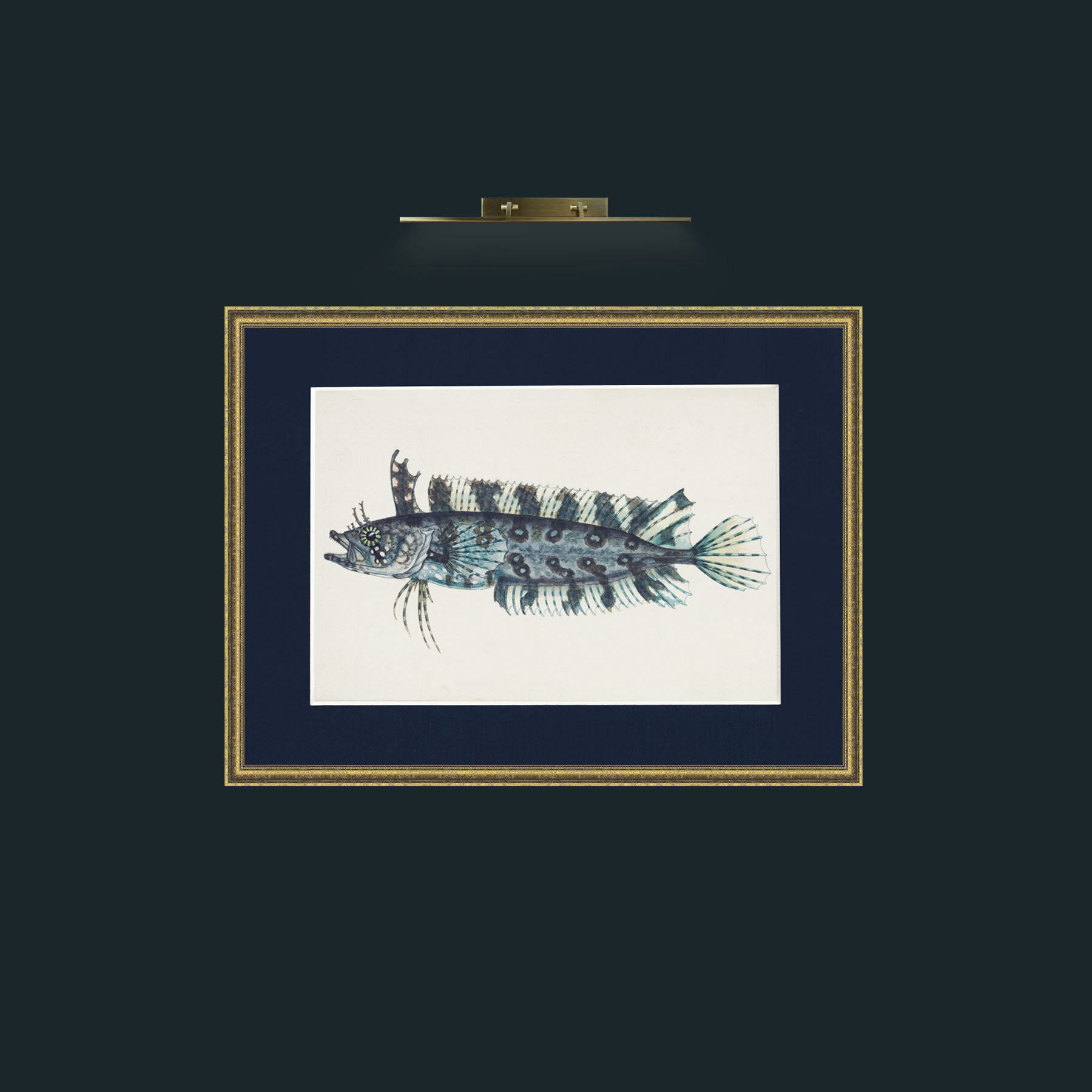 Art-Silver Spotted Cristiceps-Frame-1TexturedGilt-Mount-3Blue.jpg