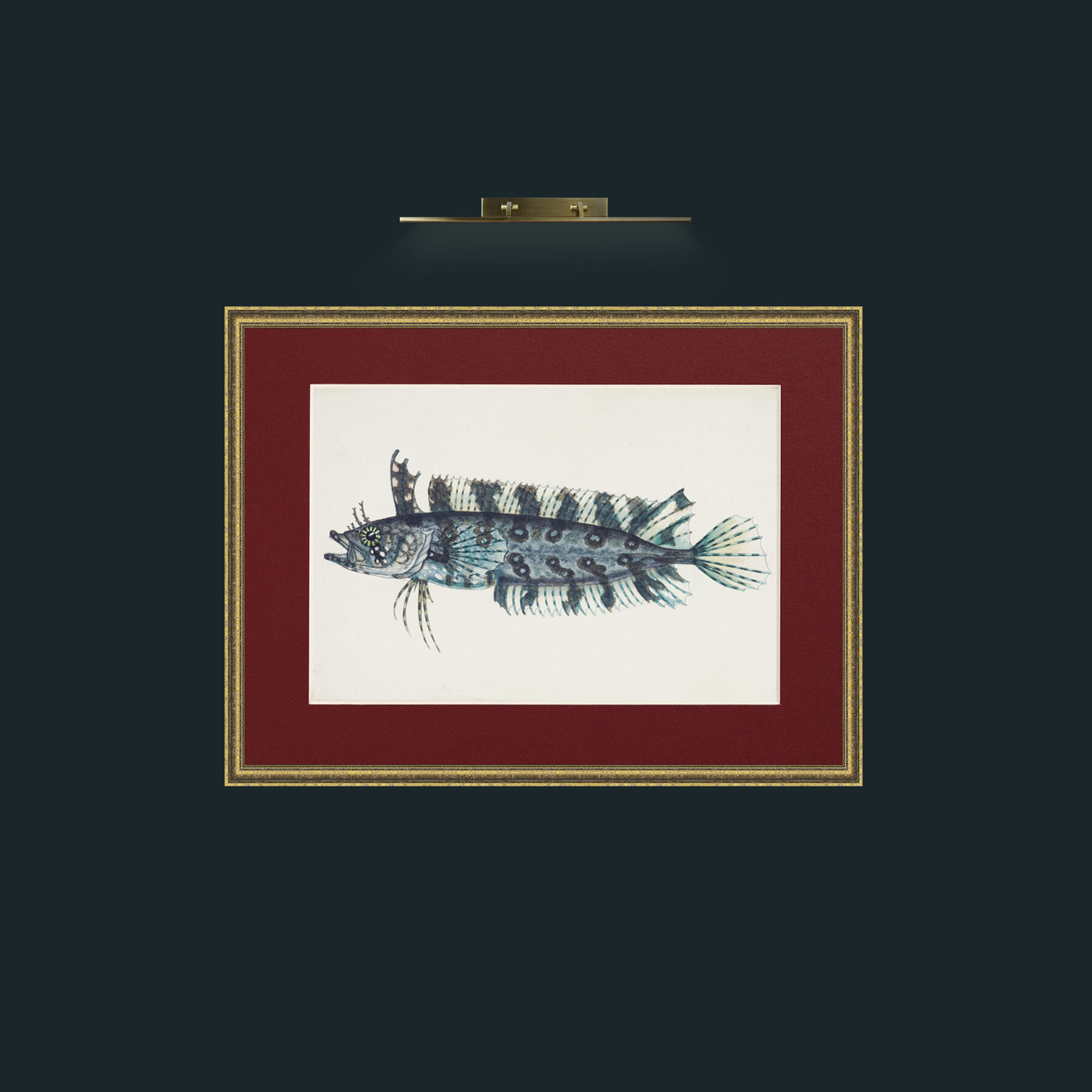 Art-Silver Spotted Cristiceps-Frame-1TexturedGilt-Mount-4Red.jpg