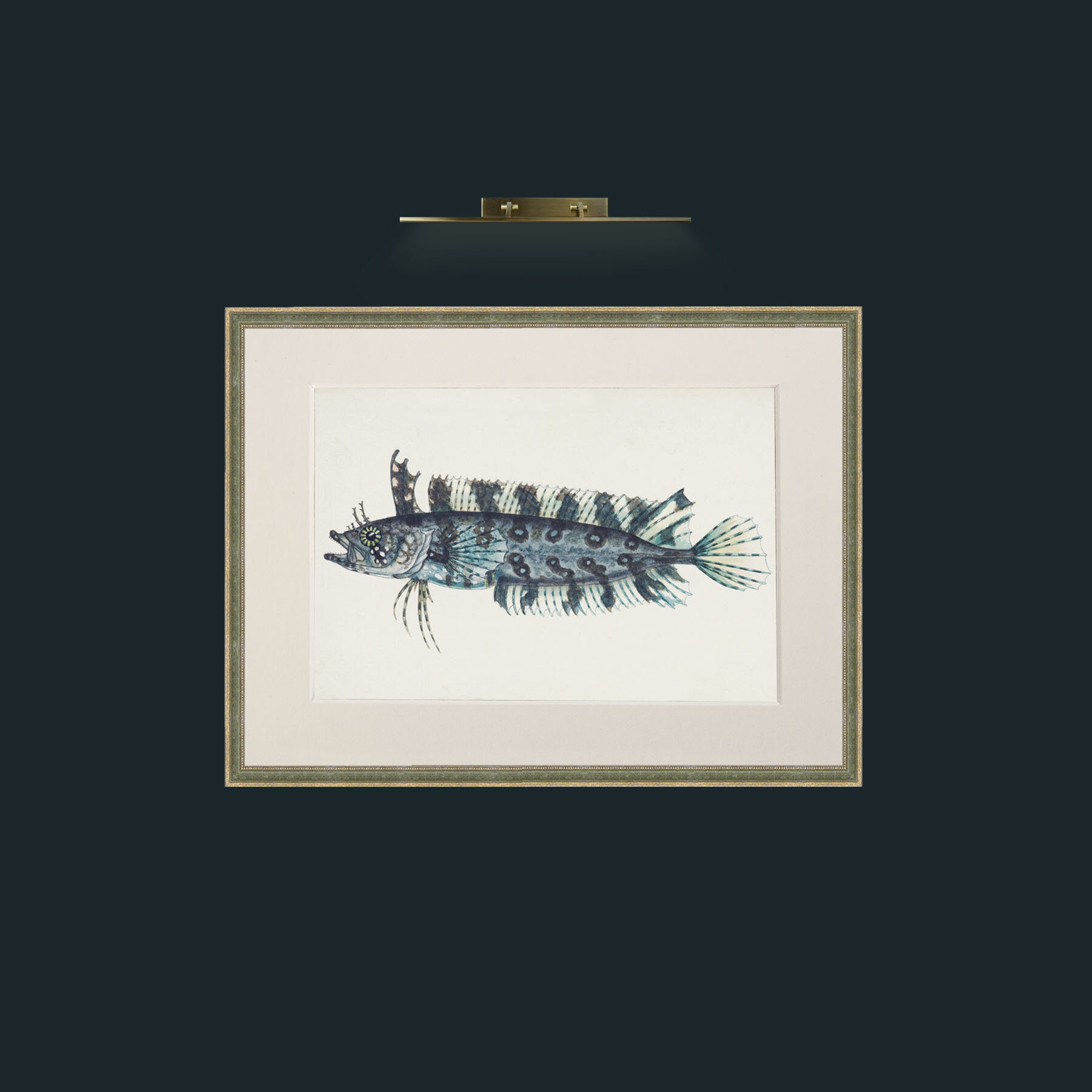 Art-Silver Spotted Cristiceps-Frame-2GreenGiltTextured-Mount-1Antique.jpg