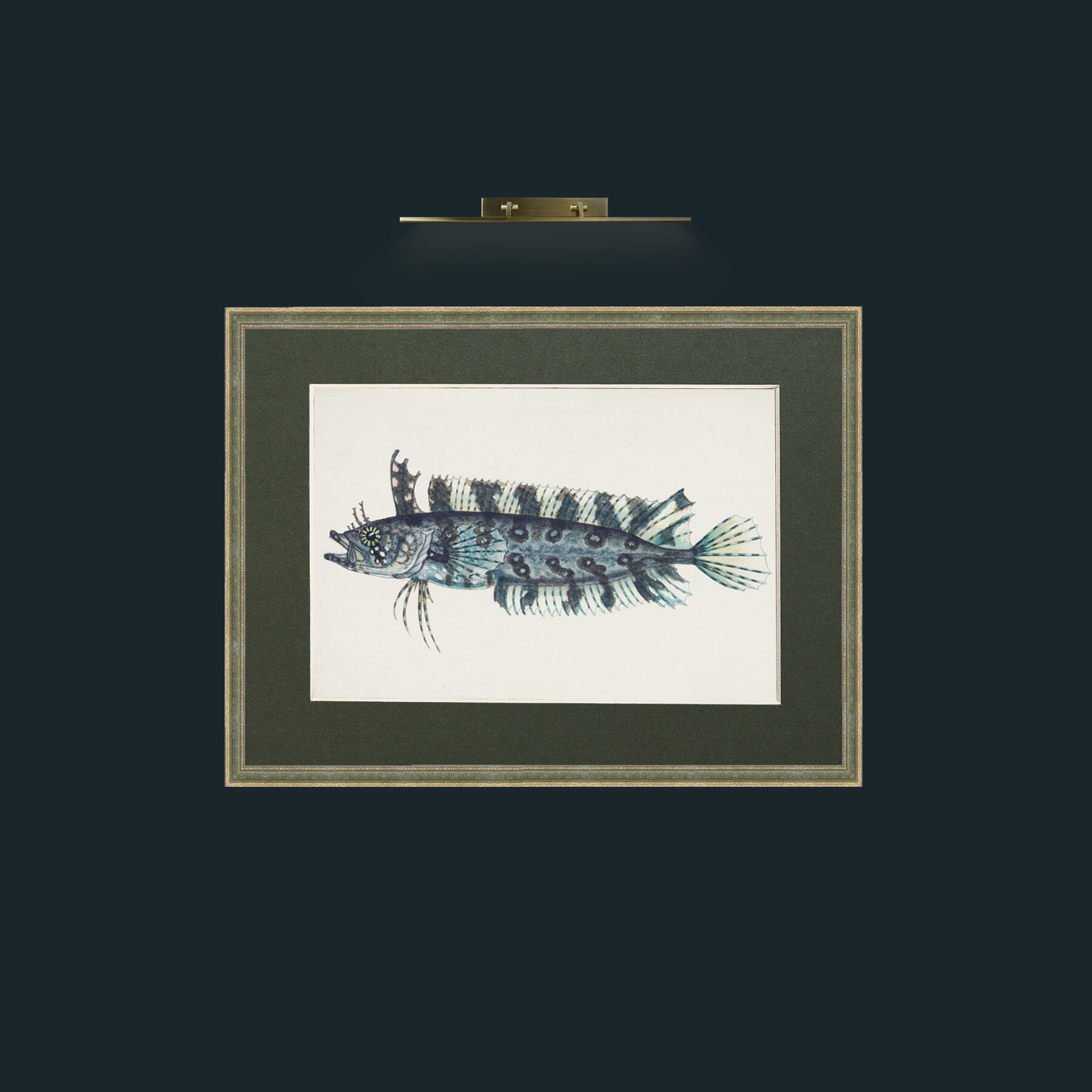 Art-Silver Spotted Cristiceps-Frame-2GreenGiltTextured-Mount-2Green.jpg