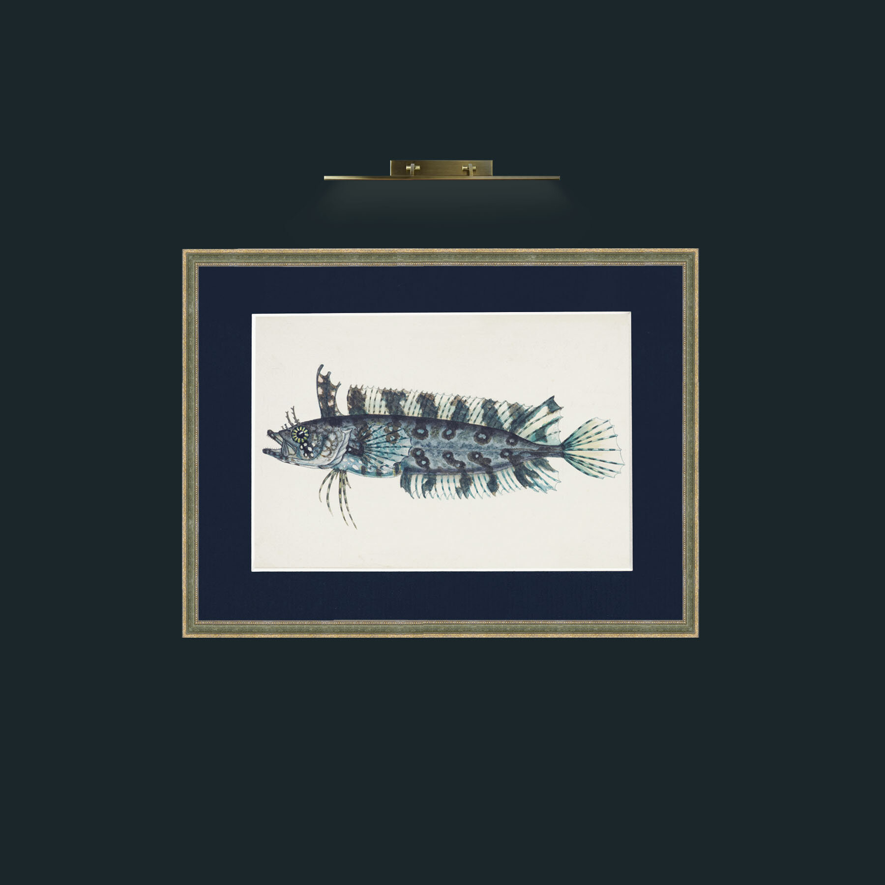 Art-Silver Spotted Cristiceps-Frame-2GreenGiltTextured-Mount-3Blue.jpg