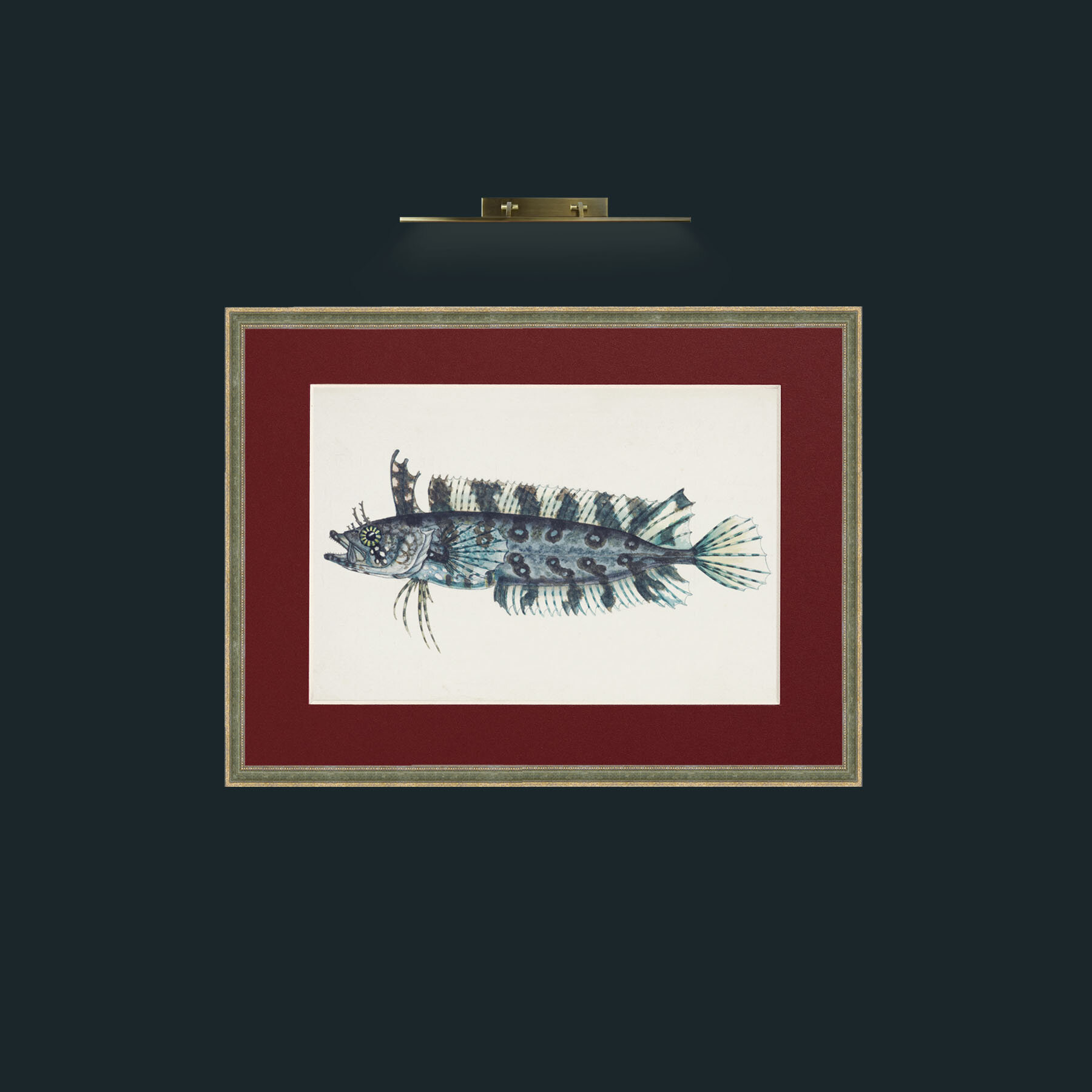 Art-Silver Spotted Cristiceps-Frame-2GreenGiltTextured-Mount-4Red.jpg