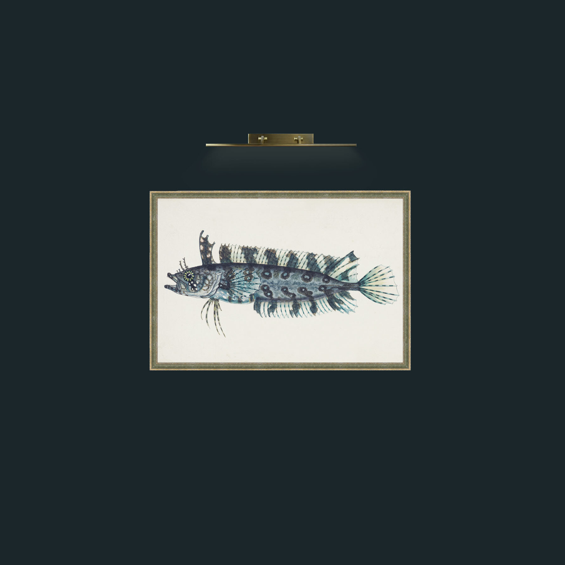 Art-Silver Spotted Cristiceps-Frame-2GreenGiltTextured.jpg