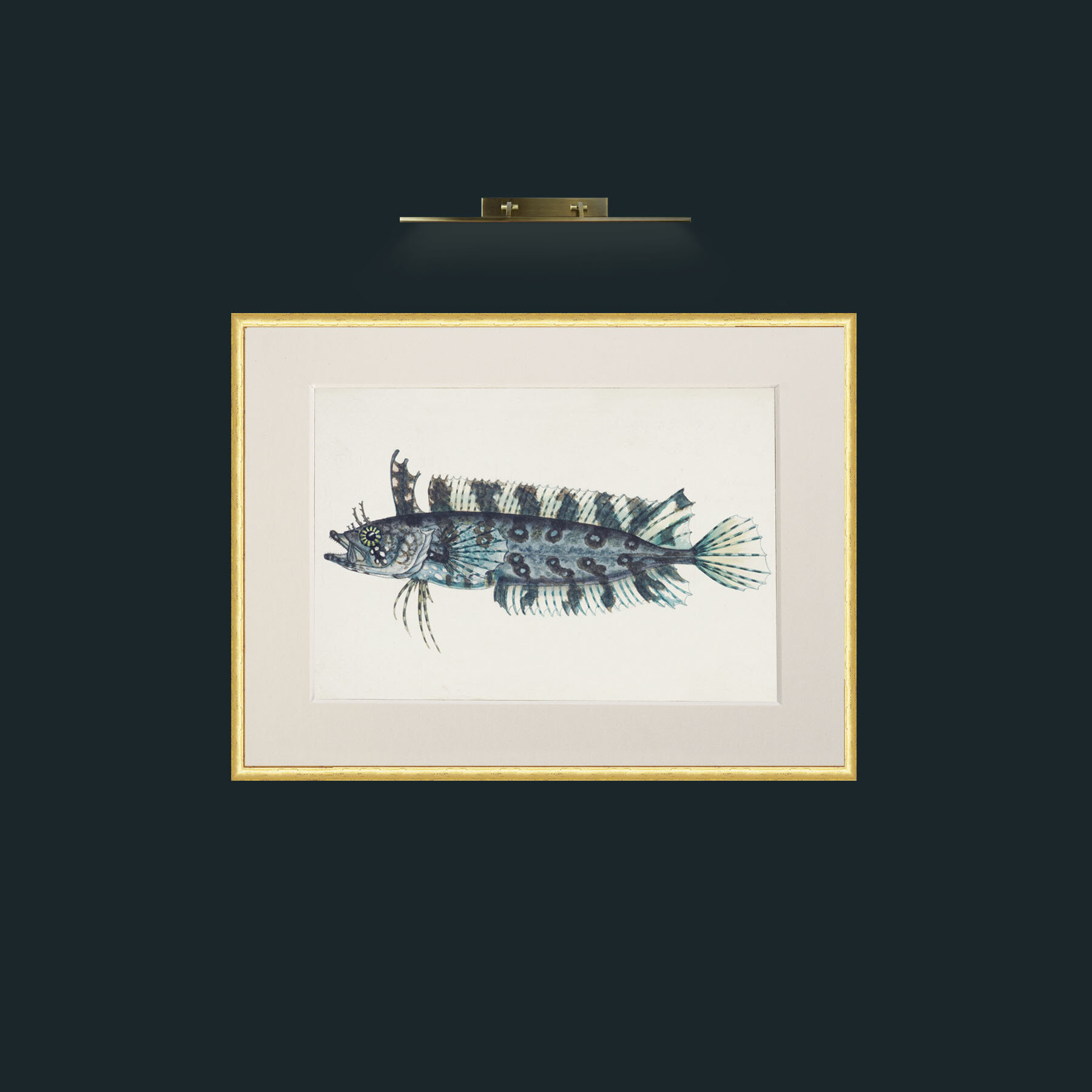 Art-Silver Spotted Cristiceps-Frame-3RoundedGilt-Mount-1Antique.jpg