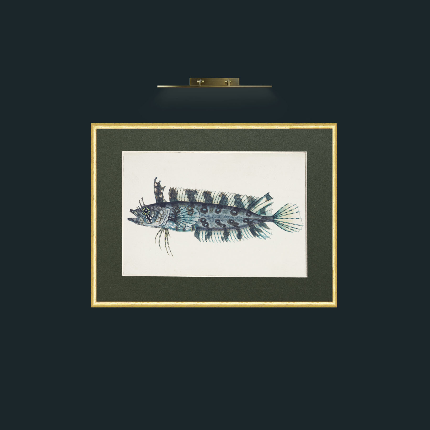Art-Silver Spotted Cristiceps-Frame-3RoundedGilt-Mount-2Green.jpg