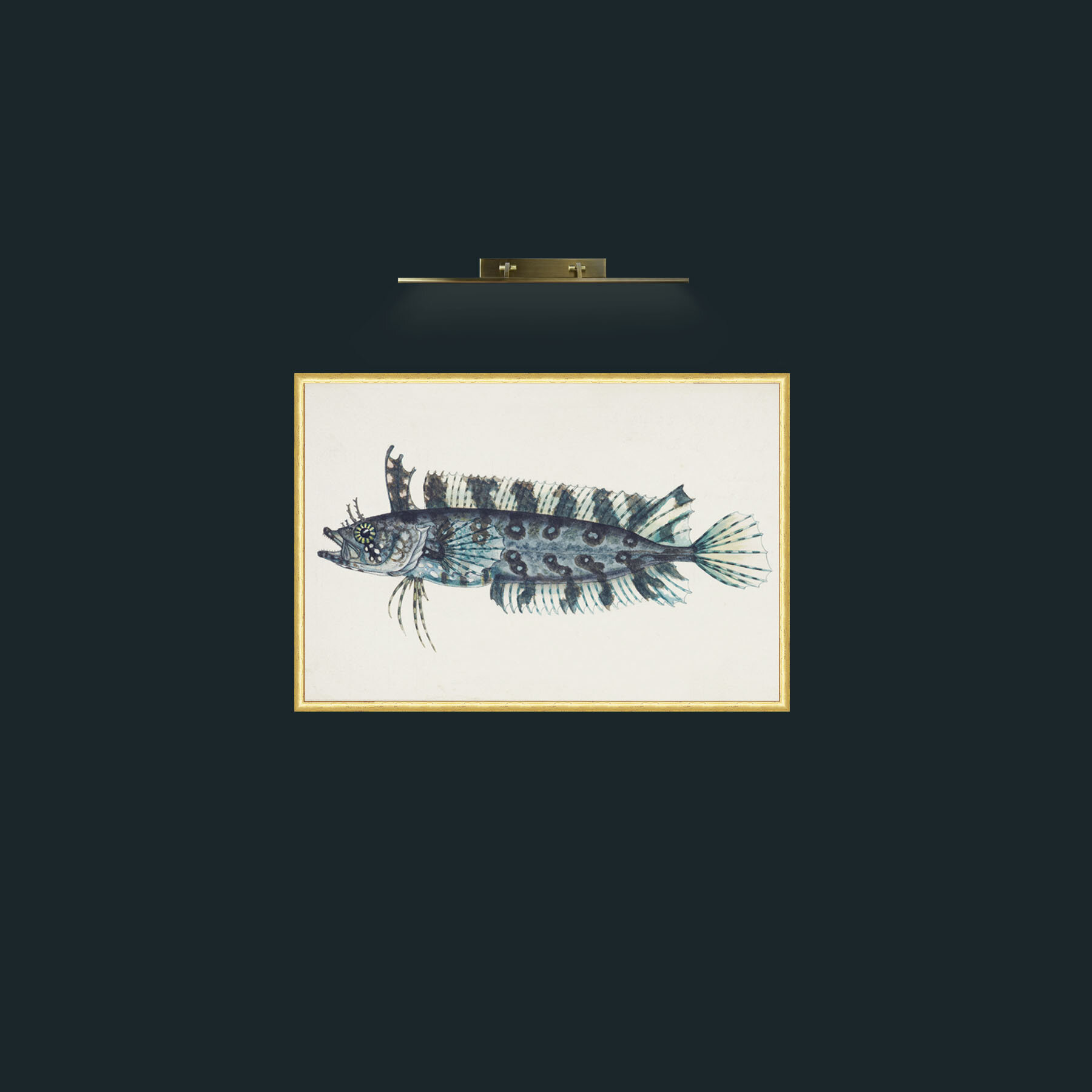 Art-Silver Spotted Cristiceps-Frame-3RoundedGilt.jpg