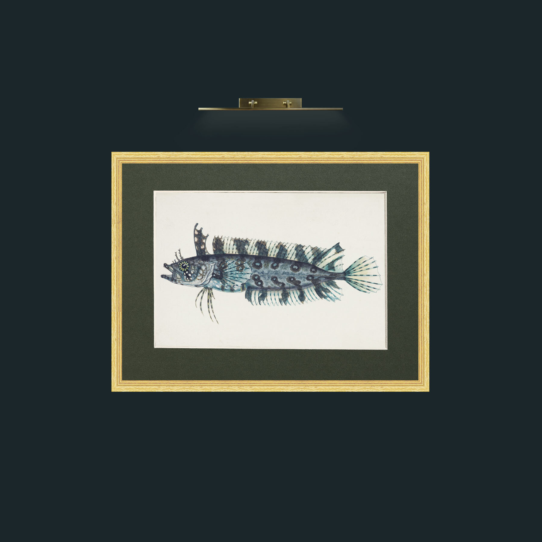 Art-Silver Spotted Cristiceps-Frame-4BevelledGilt-Mount-2Green.jpg