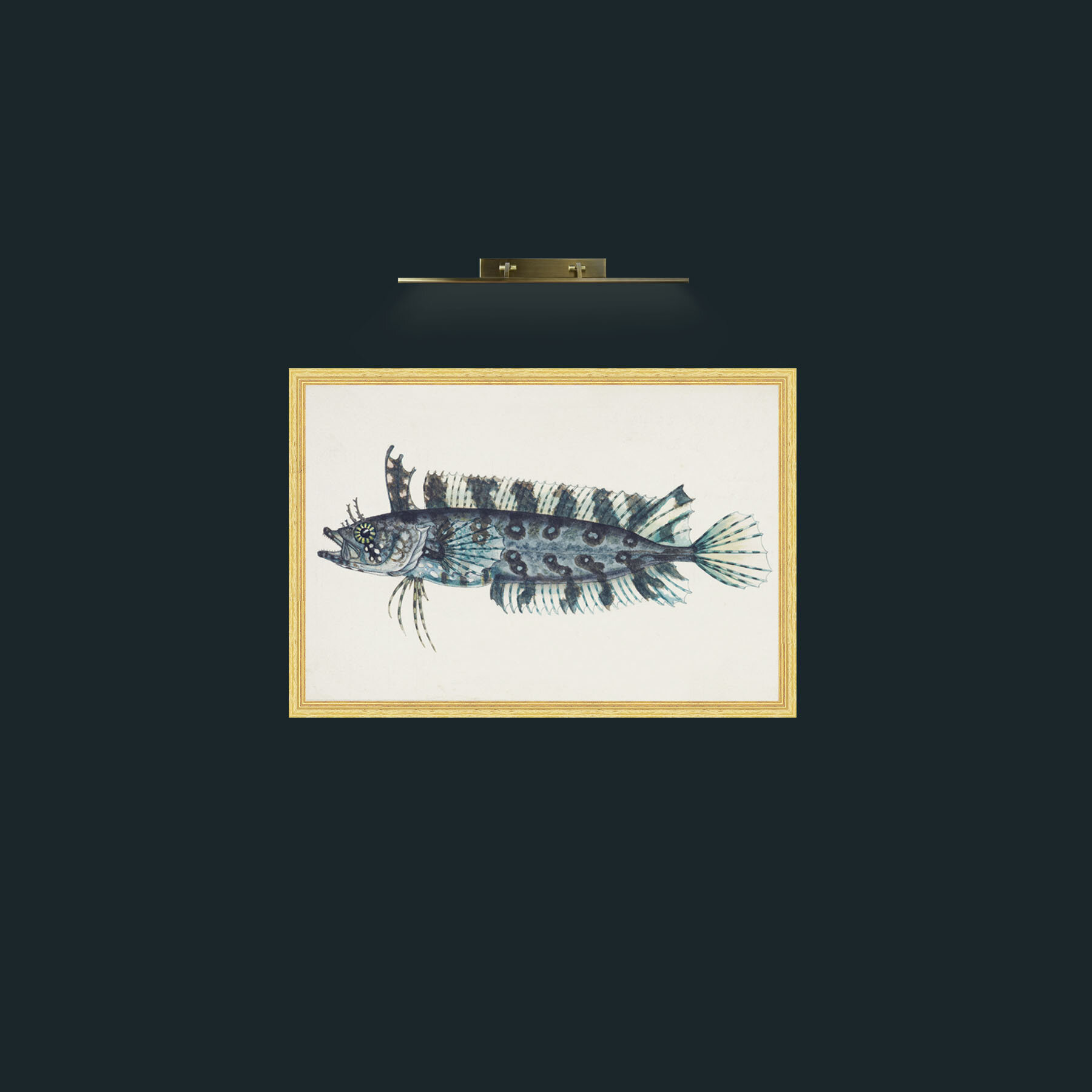 Art-Silver Spotted Cristiceps-Frame-4BevelledGilt.jpg