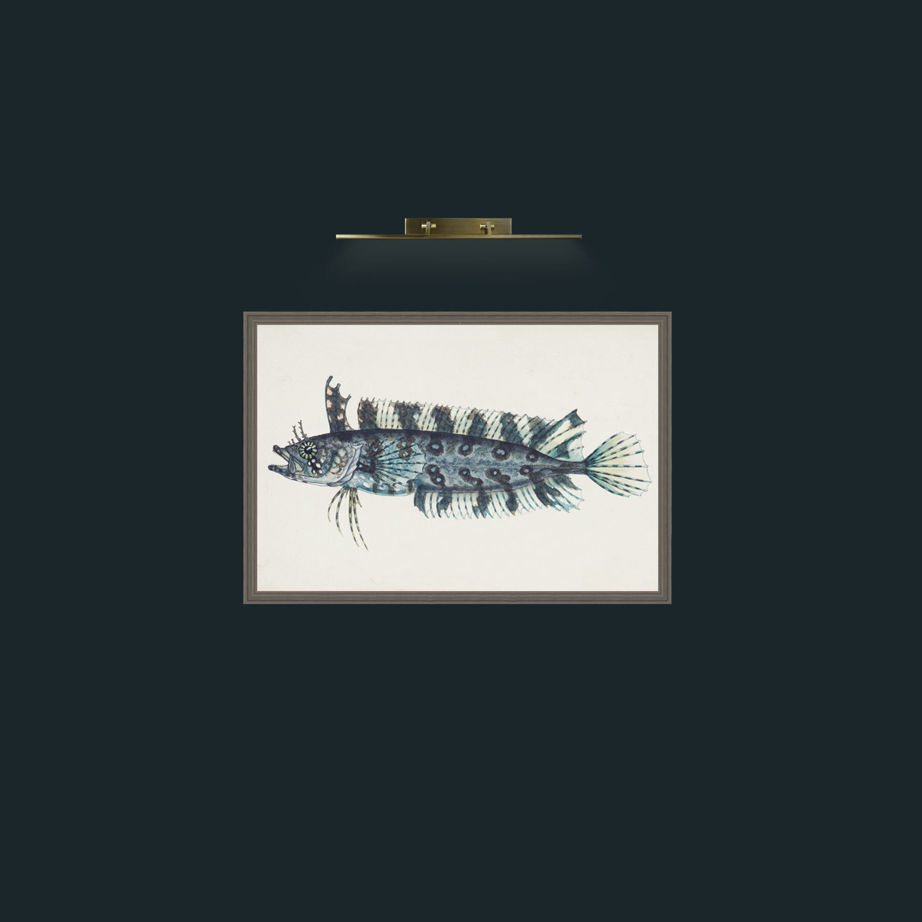 Art-Silver Spotted Cristiceps-Frame-6Grey.jpg