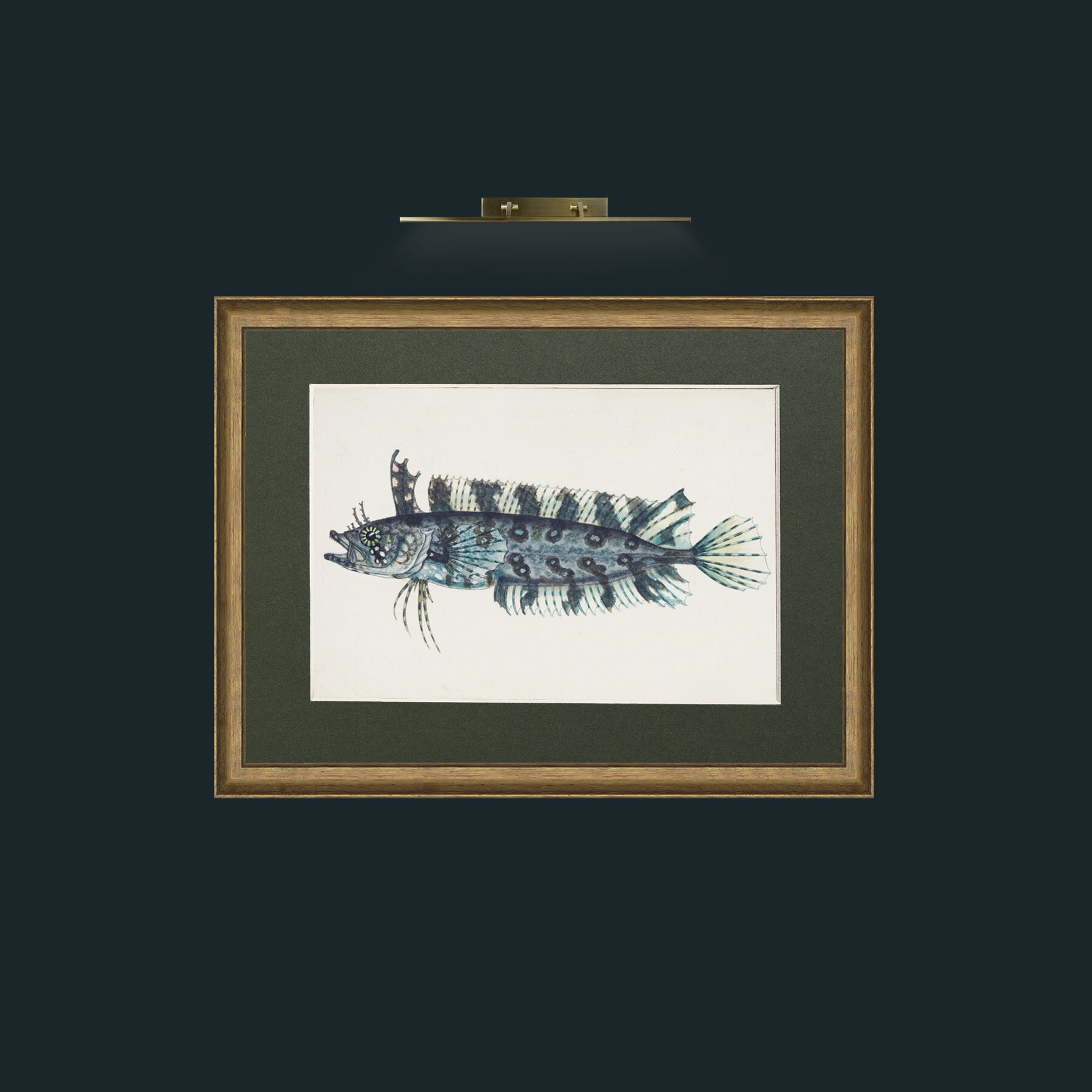 Art-Silver Spotted Cristiceps-Frame-8AntiqueRedGoldGilt-Mount-2Green.jpg