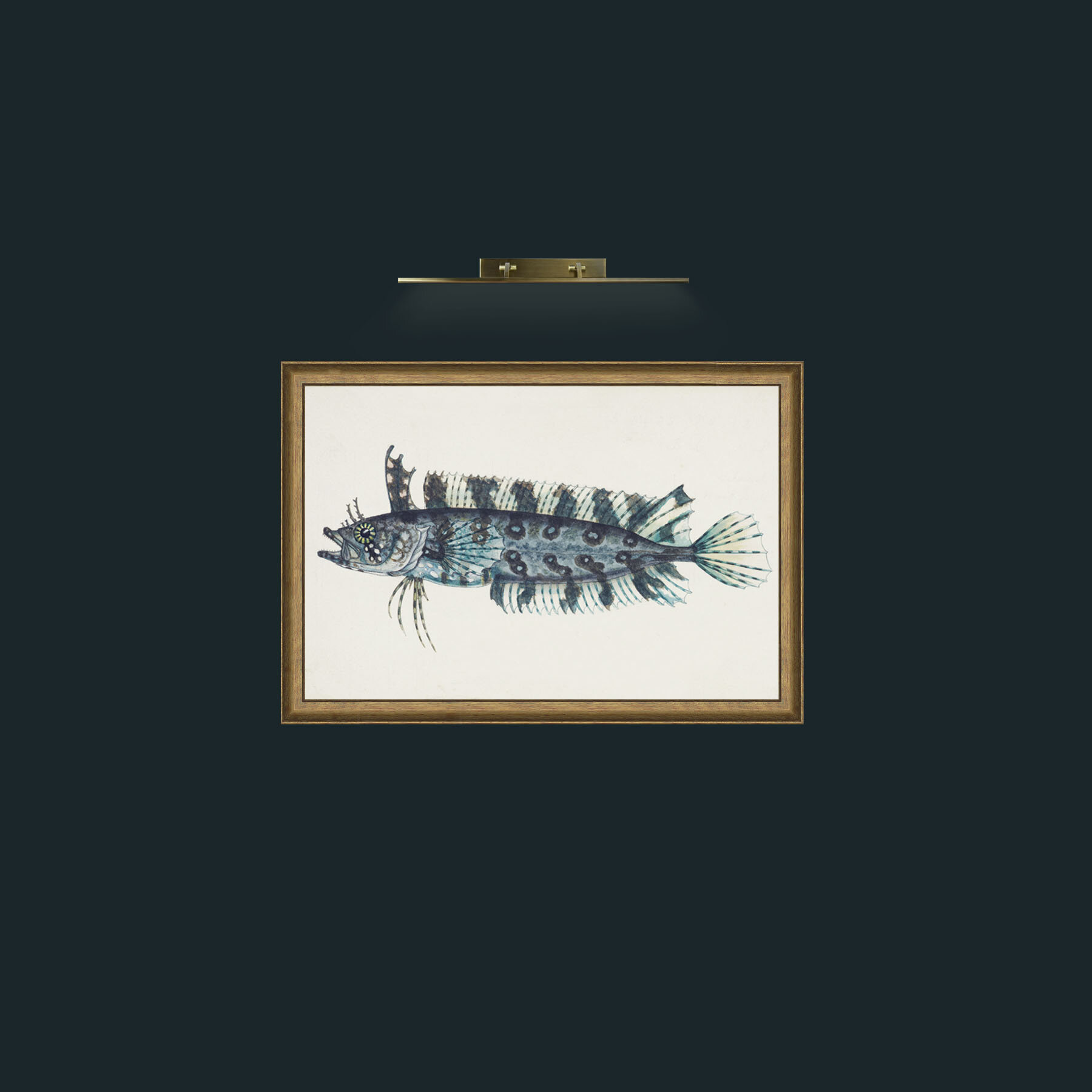 Art-Silver Spotted Cristiceps-Frame-8RedGreenGilt.jpg