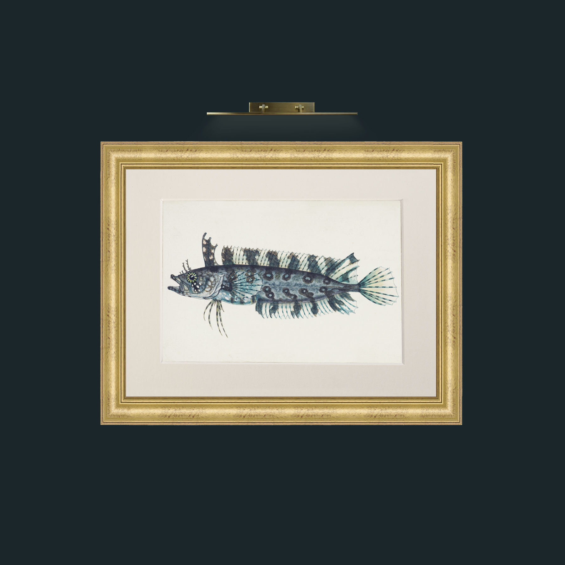 Art-Silver Spotted Cristiceps-Frame-9WideGilt-Mount-1Antique.jpg