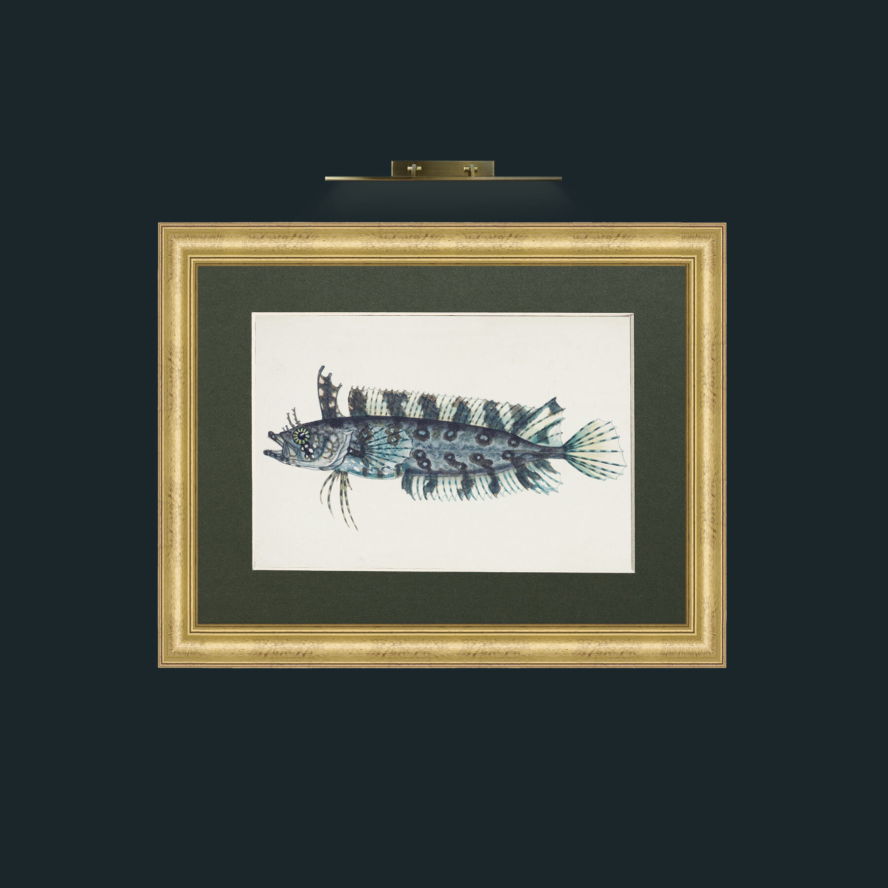 Art-Silver Spotted Cristiceps-Frame-9WideGilt-Mount-2Green.jpg