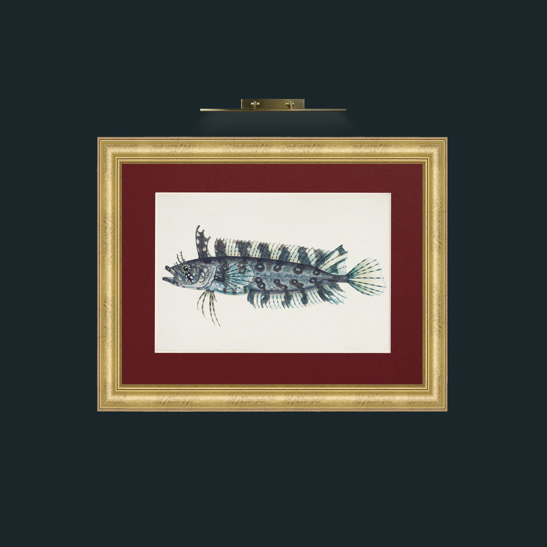 Art-Silver Spotted Cristiceps-Frame-9WideGilt-Mount-4Red.jpg