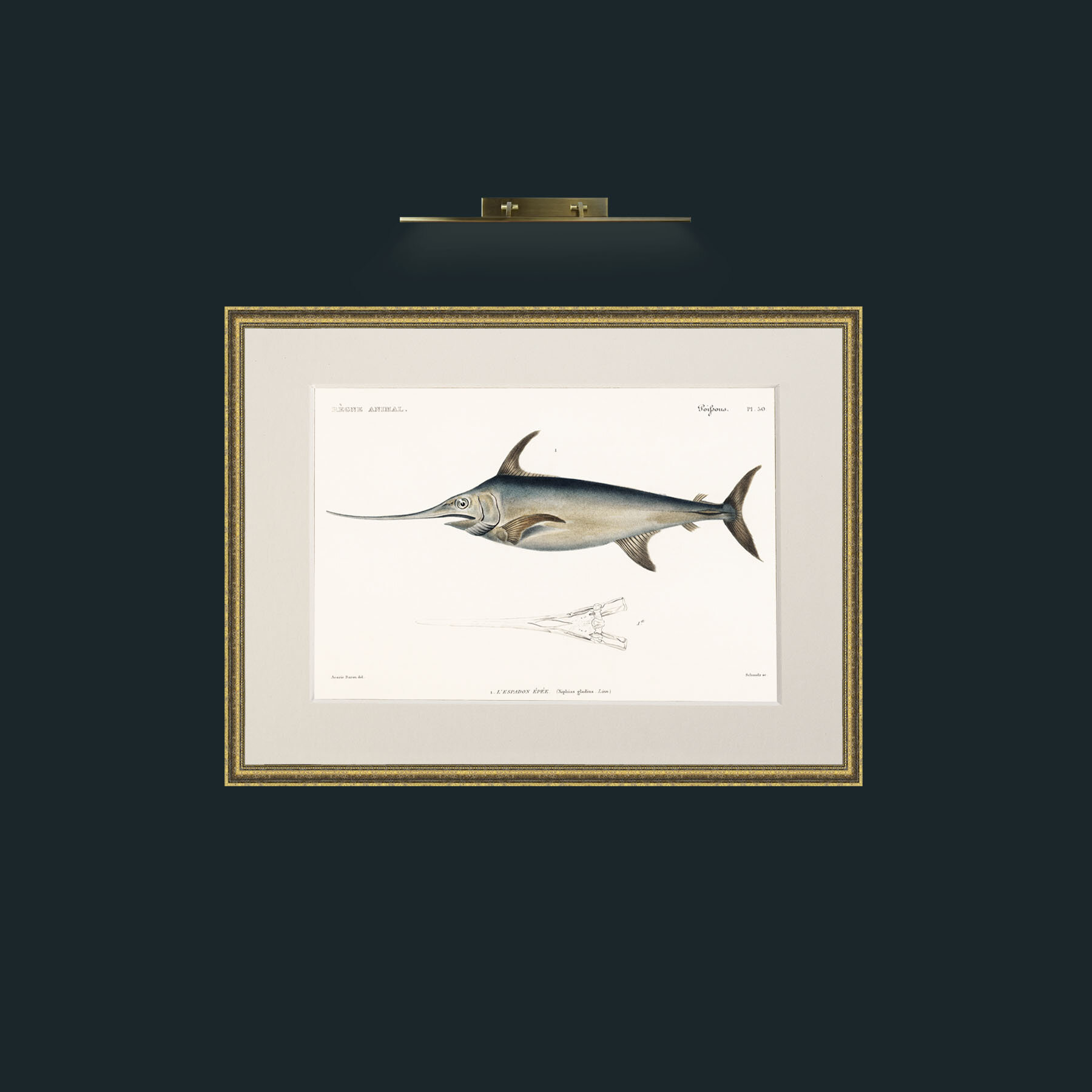 Art-Sword Fish-Frame-1TexturedGilt-Mount-1Antique.jpg