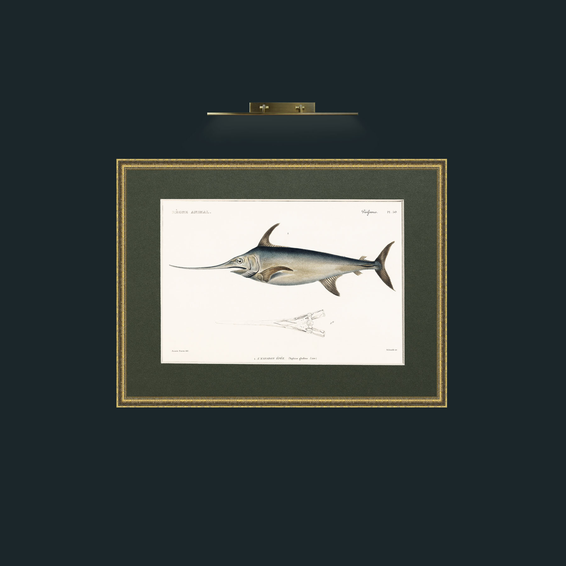 Art-Sword Fish-Frame-1TexturedGilt-Mount-2Green.jpg