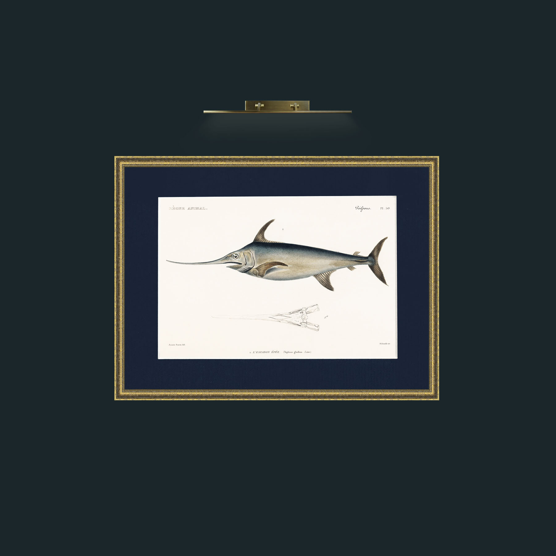 Art-Sword Fish-Frame-1TexturedGilt-Mount-3Blue.jpg