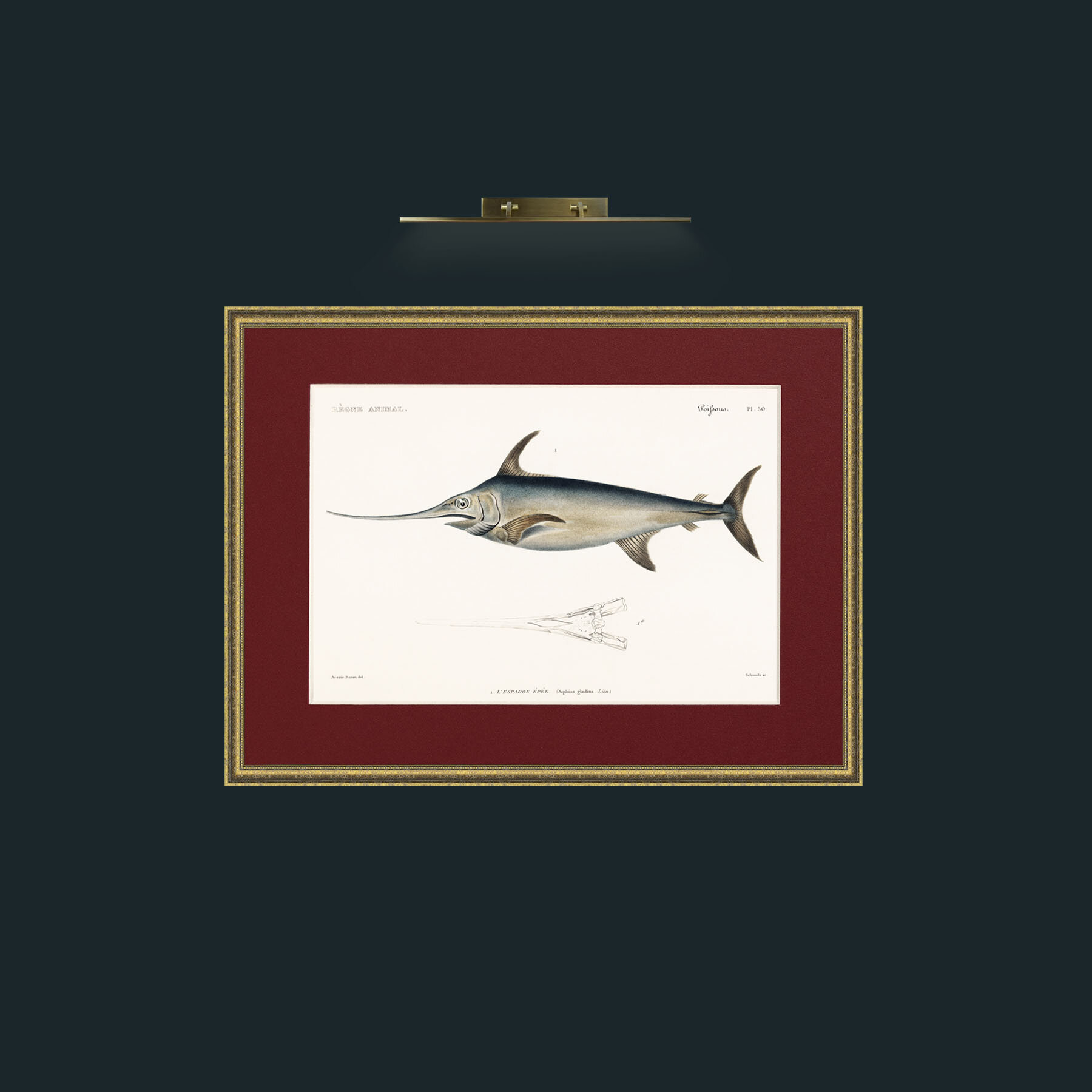 Art-Sword Fish-Frame-1TexturedGilt-Mount-4Red.jpg