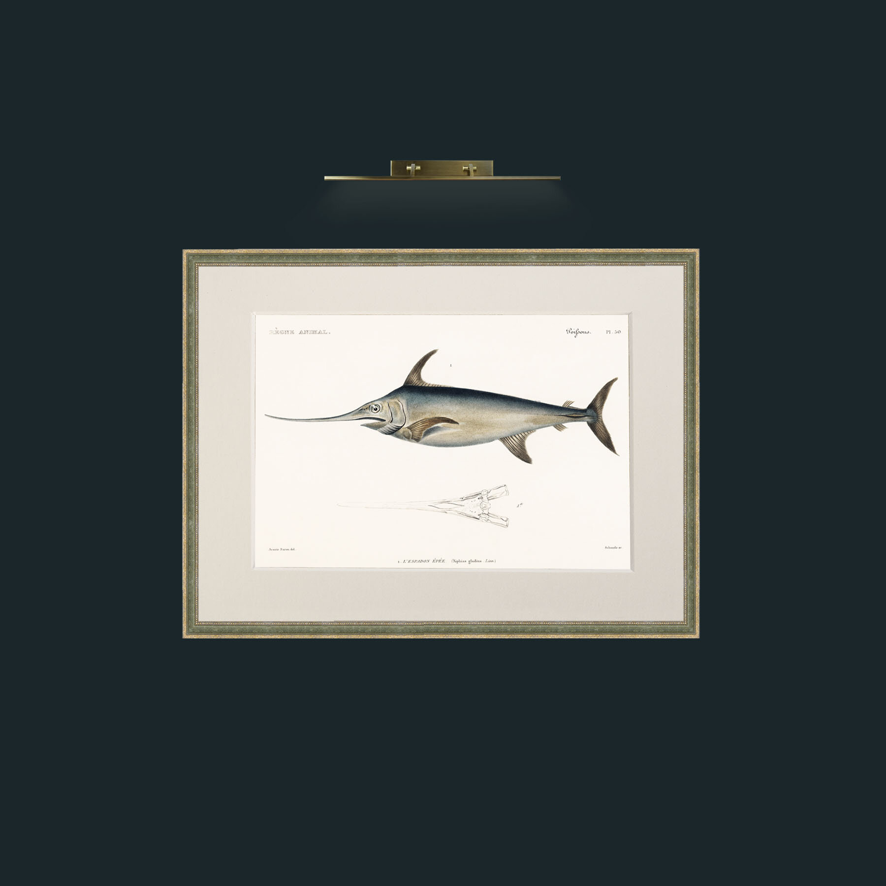 Art-Sword Fish-Frame-2GreenGiltTextured-Mount-1Antique.jpg