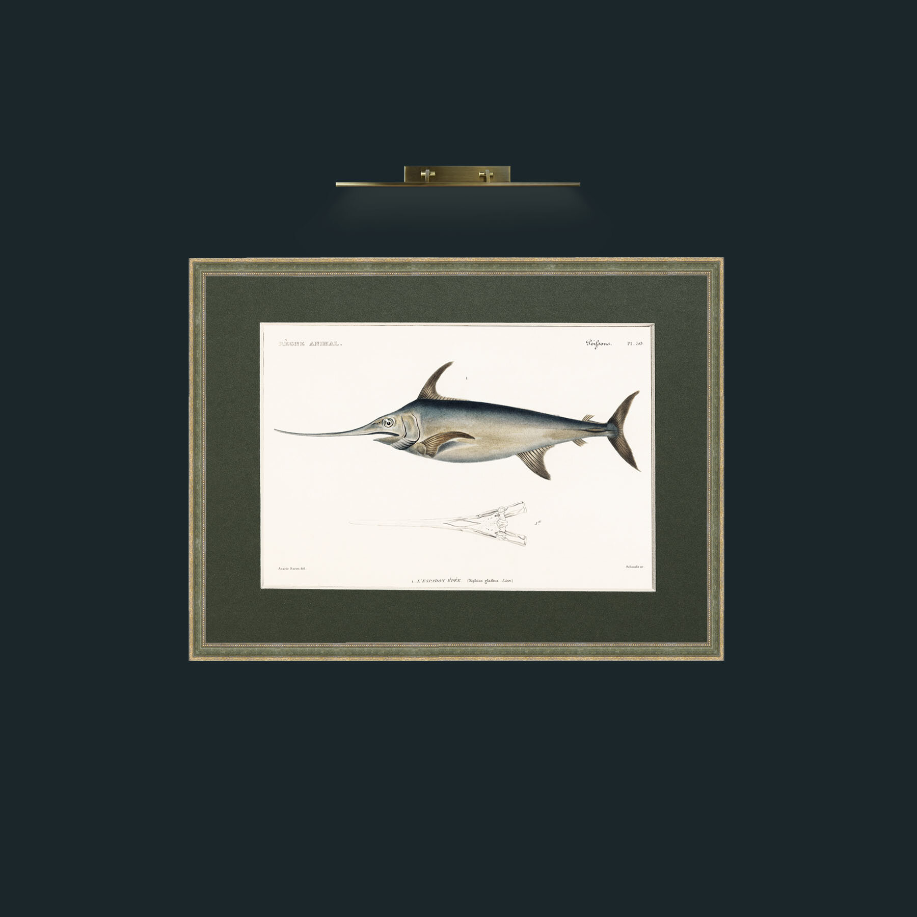 Art-Sword Fish-Frame-2GreenGiltTextured-Mount-2Green.jpg