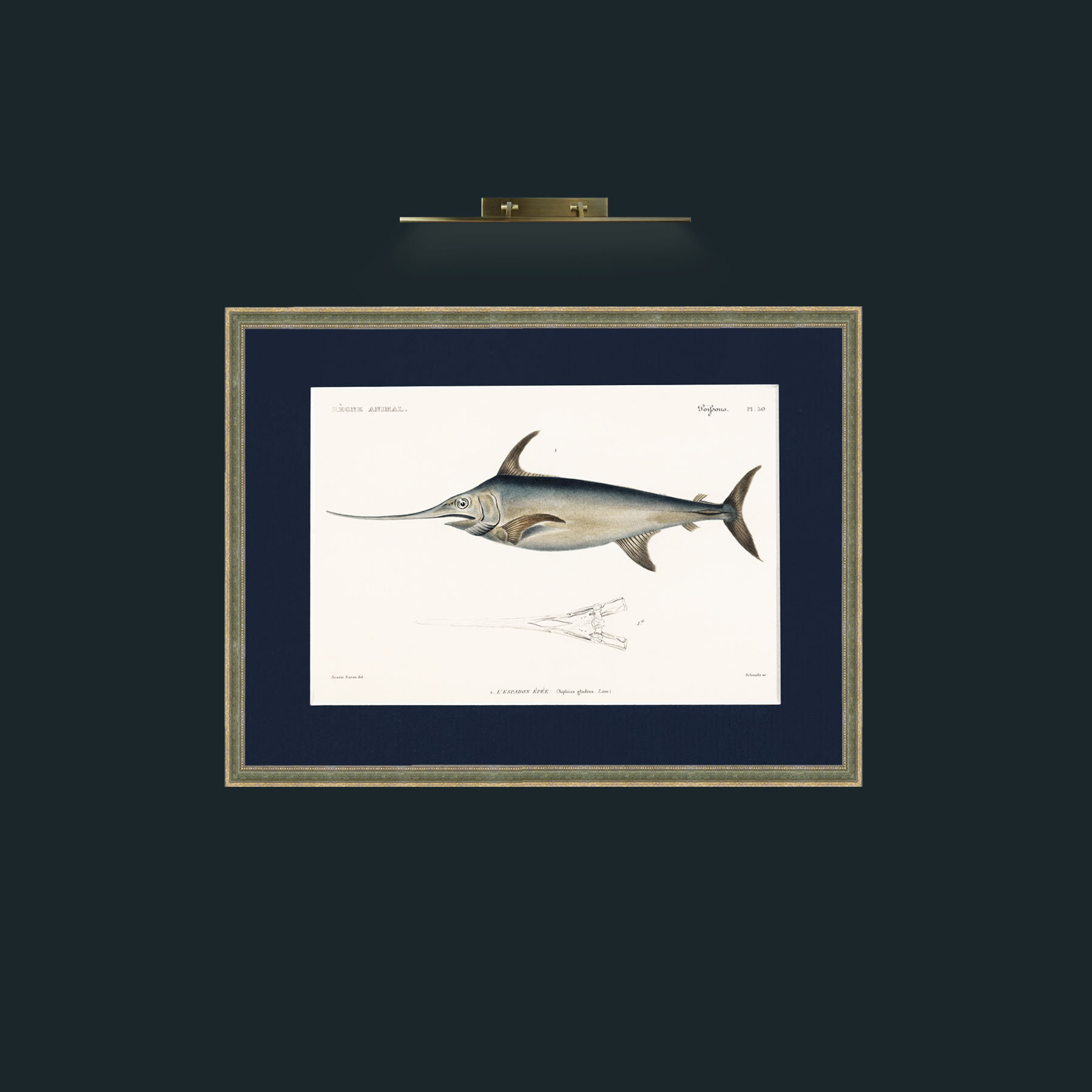 Art-Sword Fish-Frame-2GreenGiltTextured-Mount-3Blue.jpg