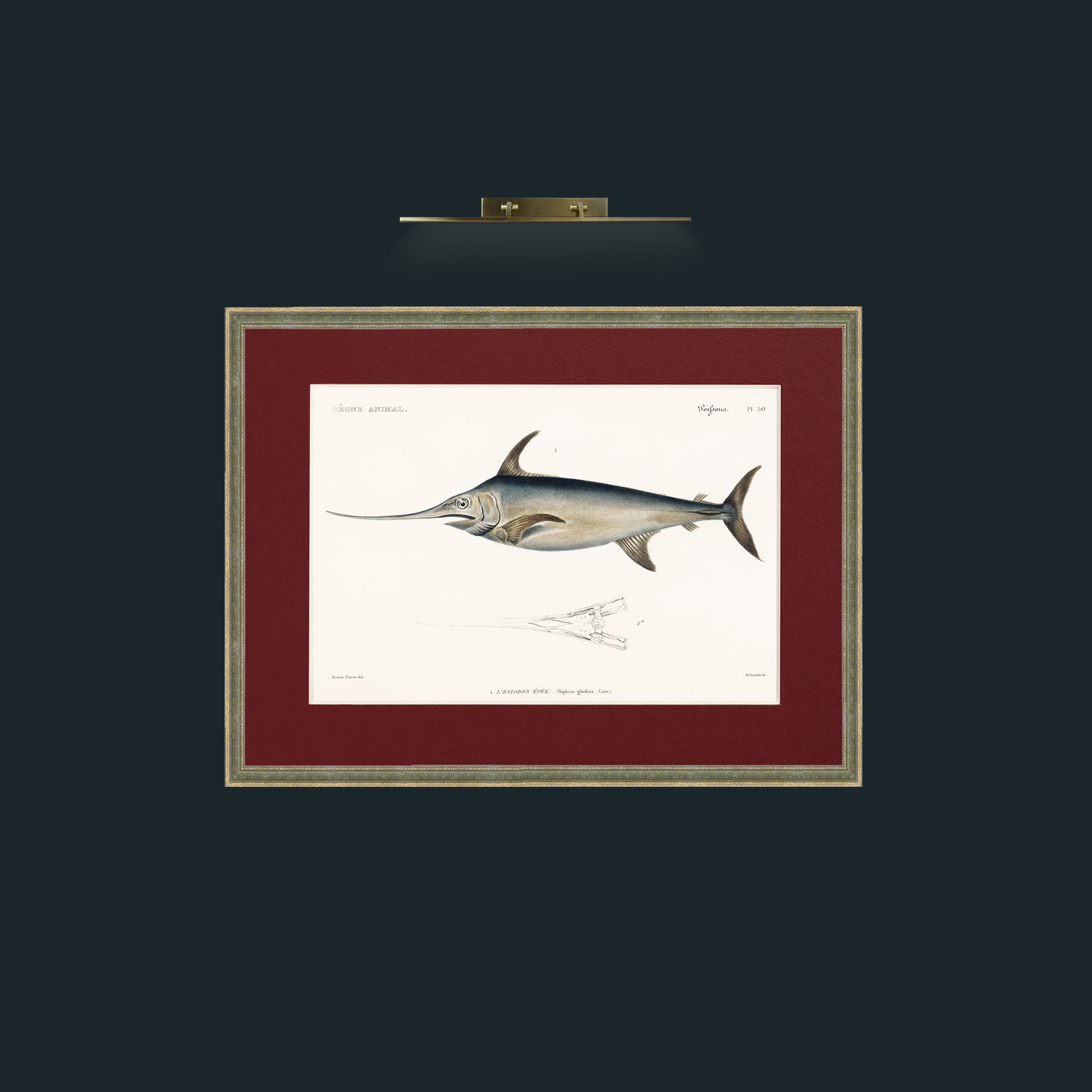 Art-Sword Fish-Frame-2GreenGiltTextured-Mount-4Red.jpg