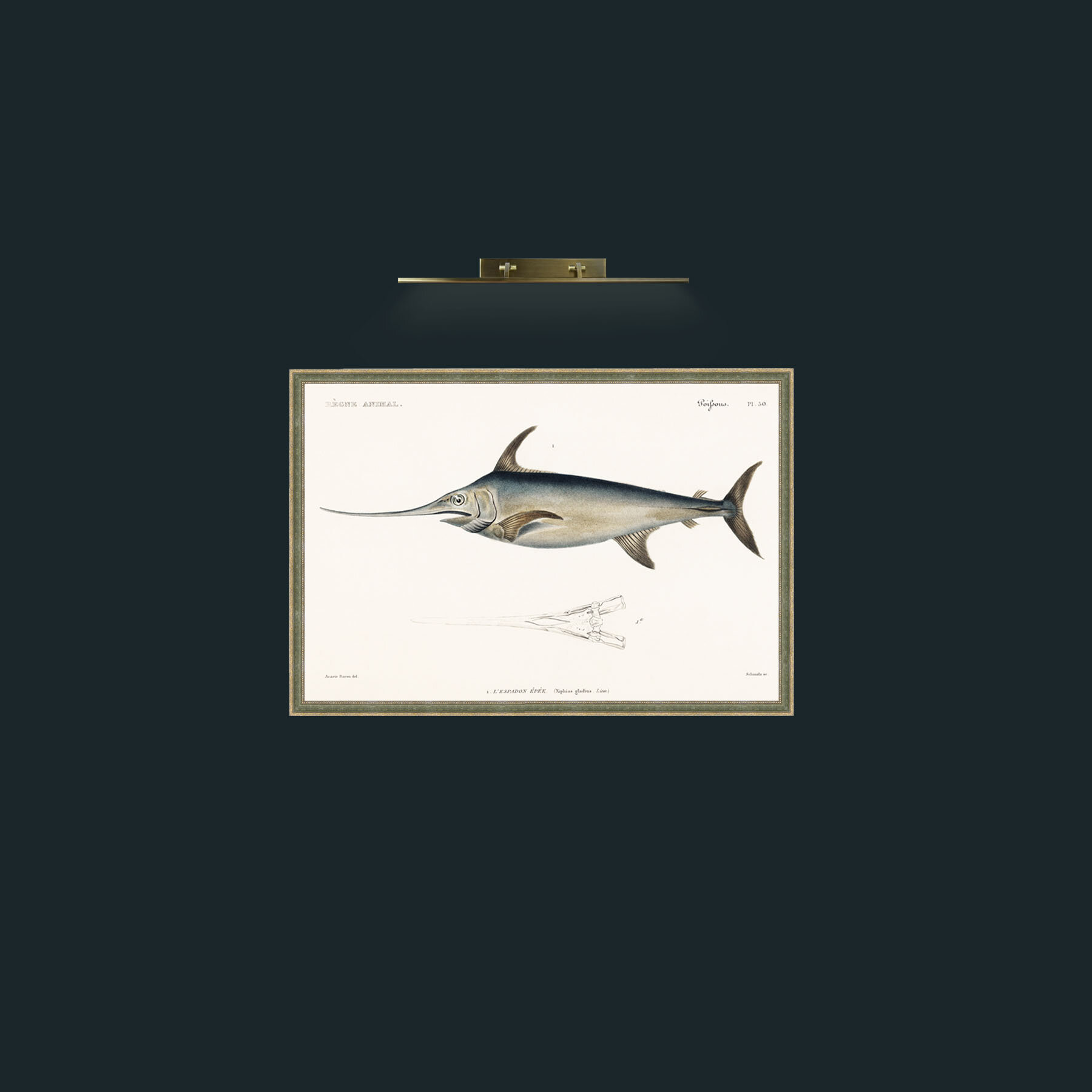 Art-Sword Fish-Frame-2GreenGiltTextured.jpg