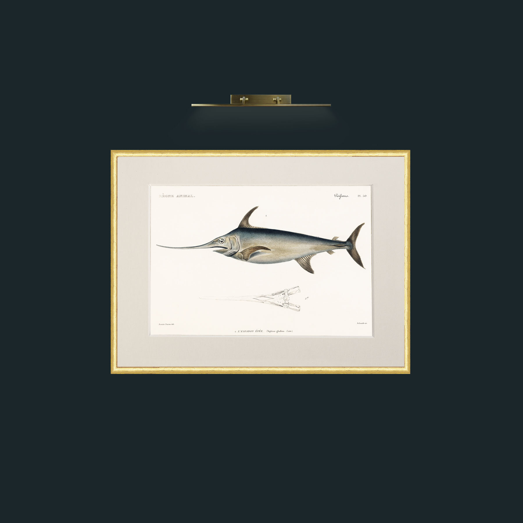 Art-Sword Fish-Frame-3RoundedGilt-Mount-1Antique.jpg