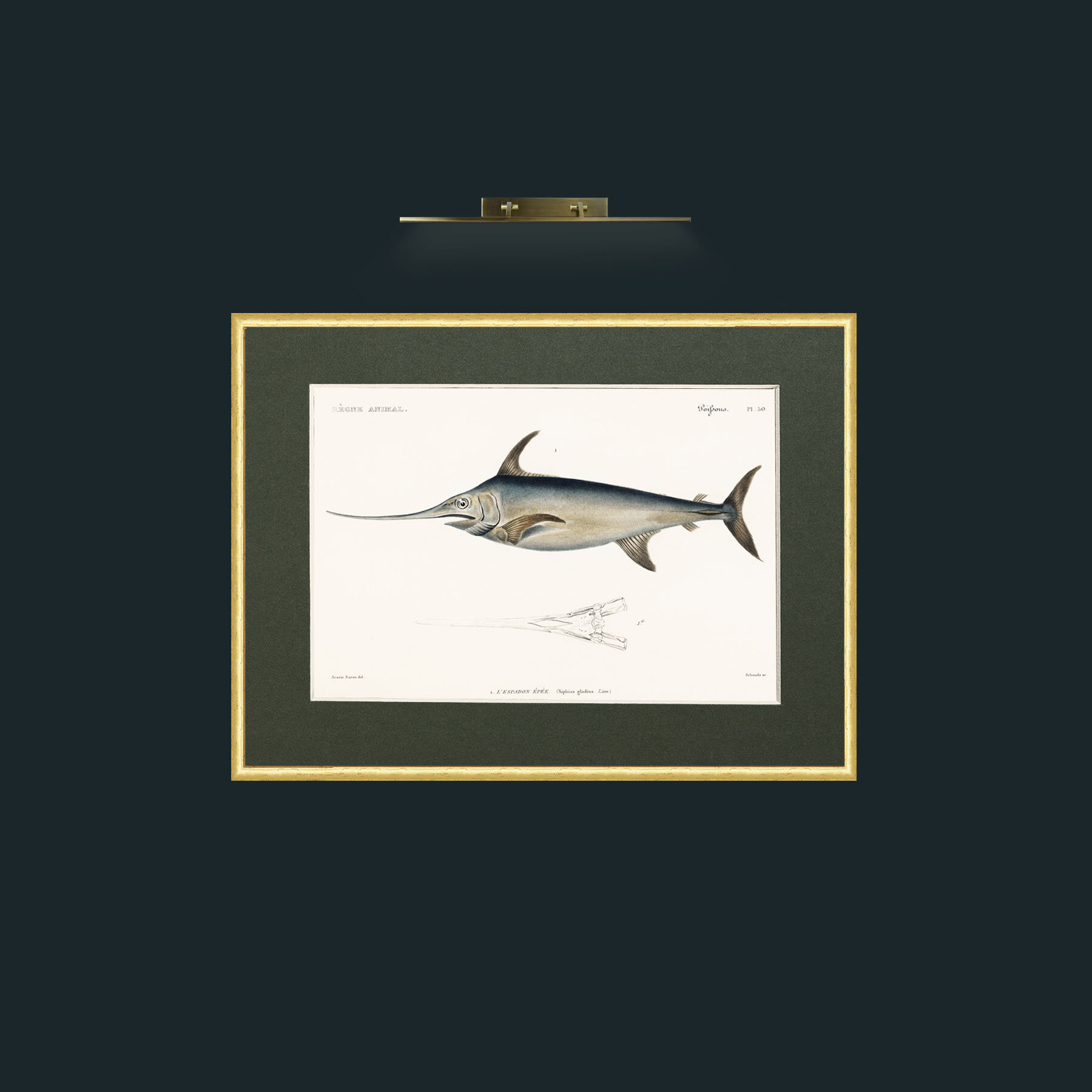 Art-Sword Fish-Frame-3RoundedGilt-Mount-2Green.jpg