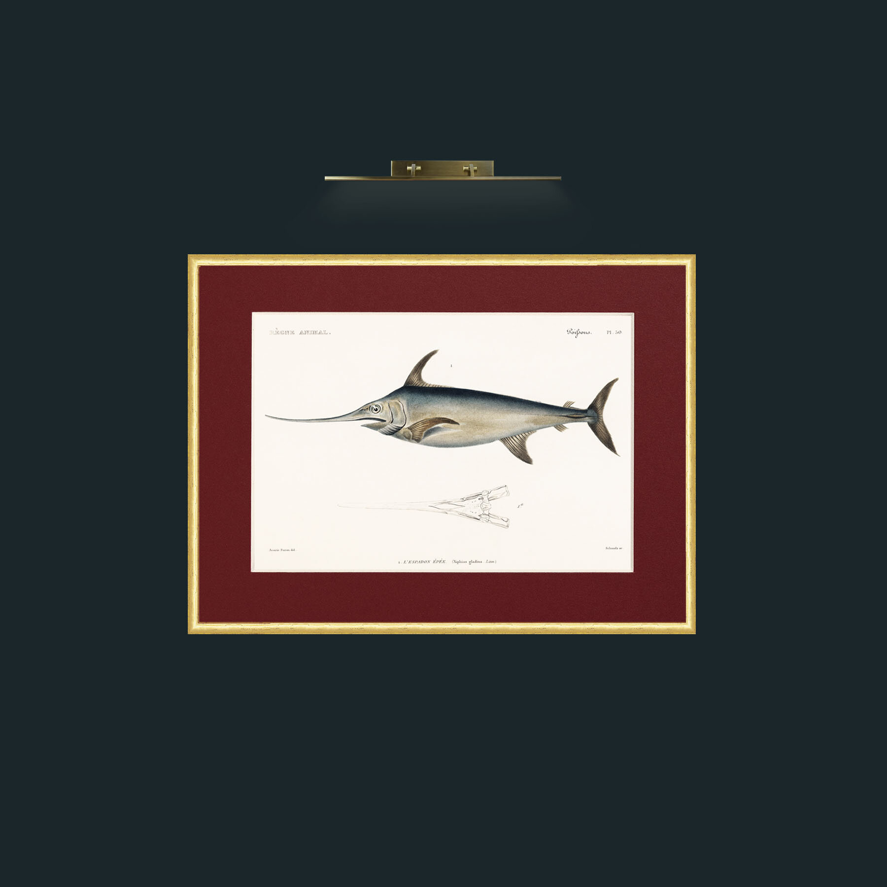 Art-Sword Fish-Frame-3RoundedGilt-Mount-4Red.jpg