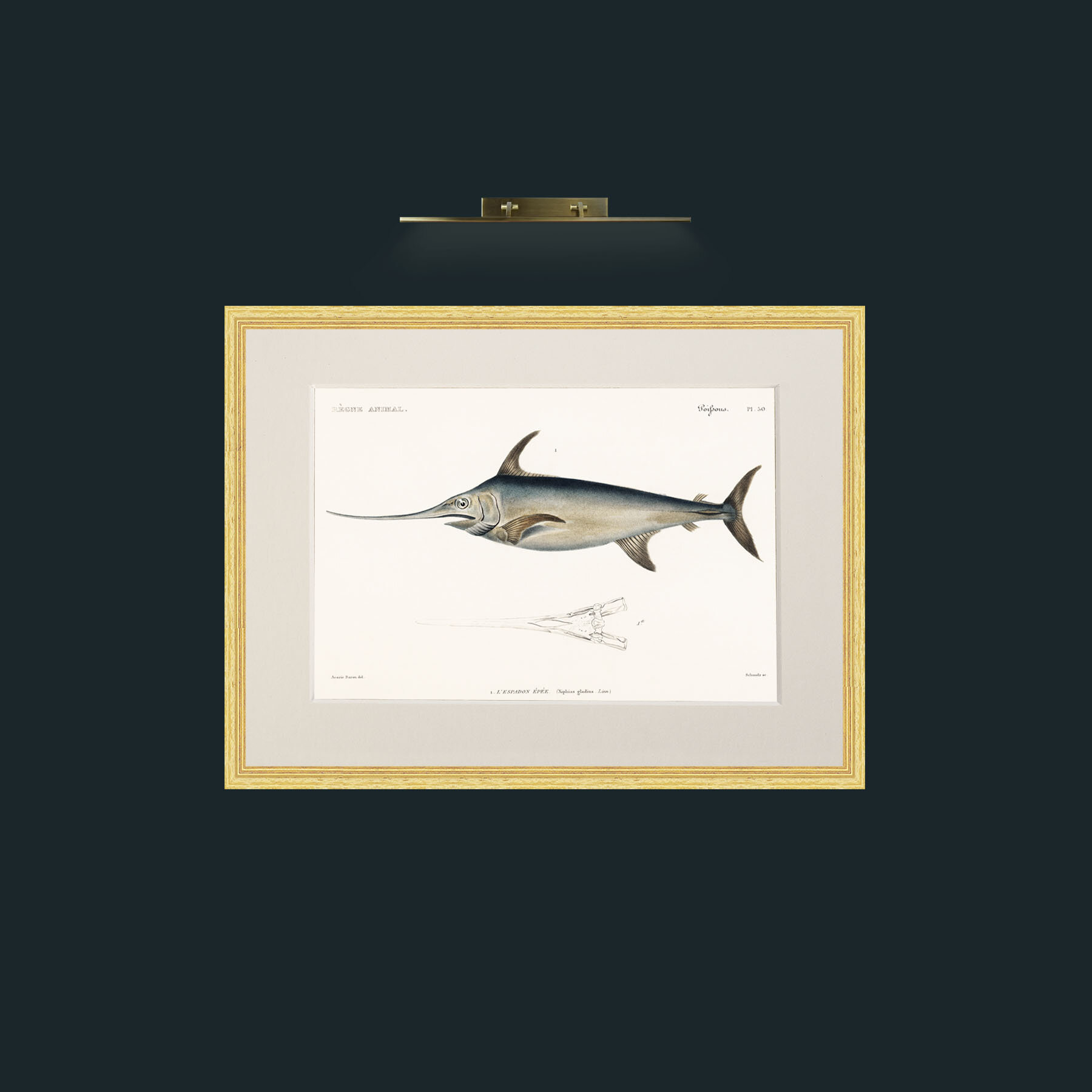 Art-Sword Fish-Frame-4BevelledGilt-Mount-1Antique.jpg