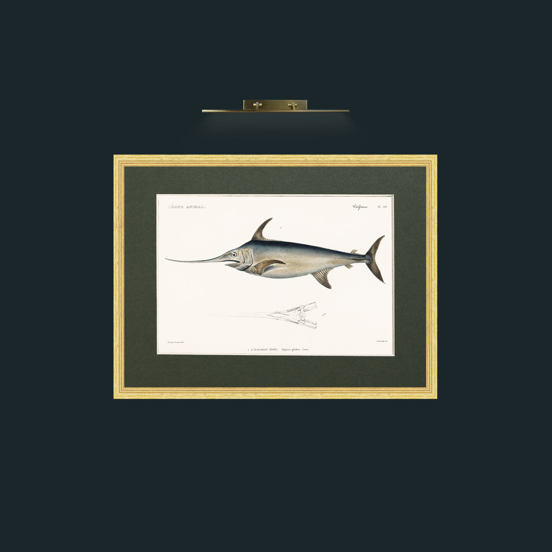 Art-Sword Fish-Frame-4BevelledGilt-Mount-2Green.jpg