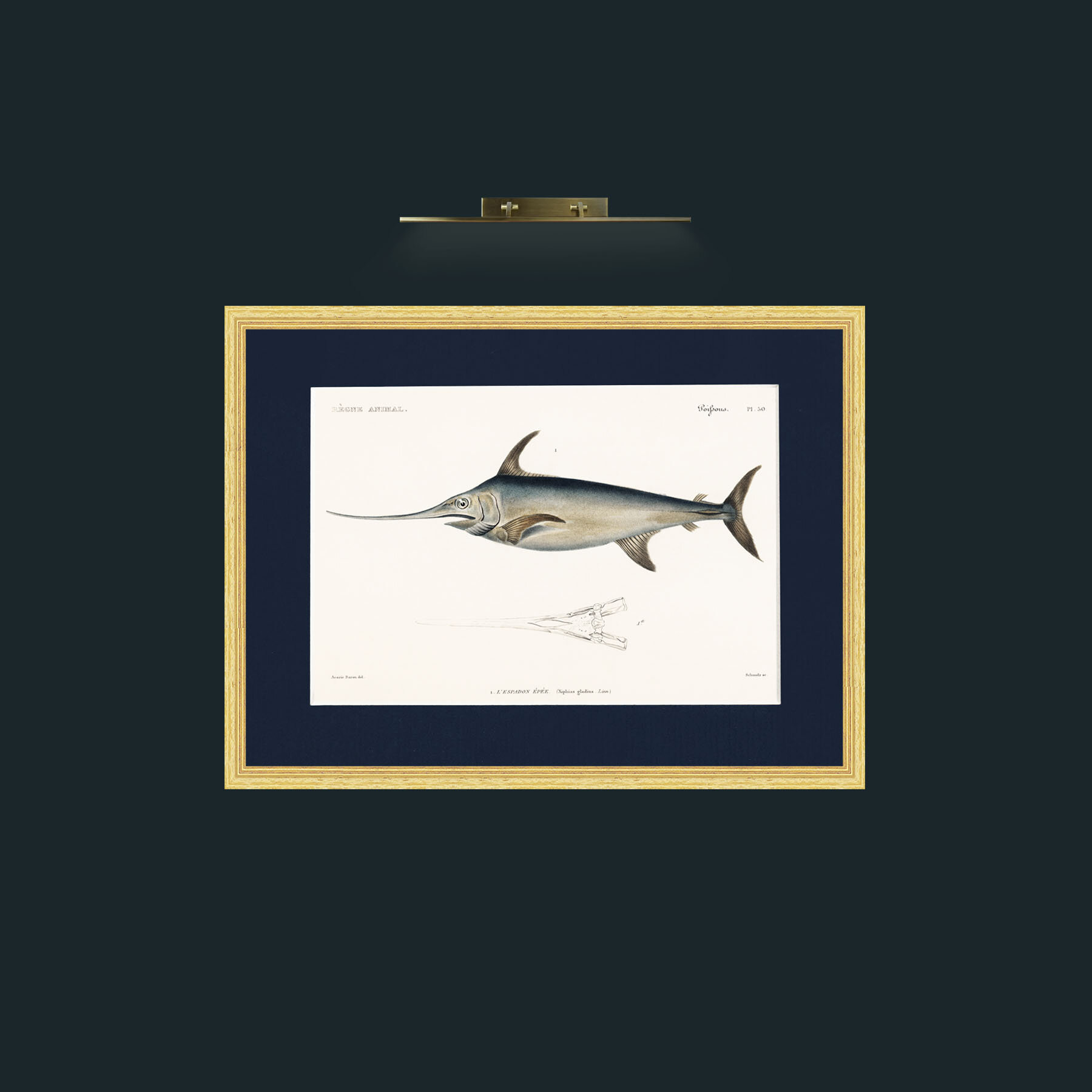 Art-Sword Fish-Frame-4BevelledGilt-Mount-3Blue.jpg