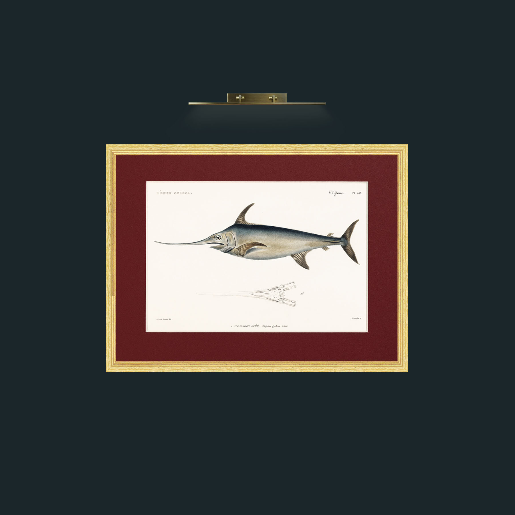 Art-Sword Fish-Frame-4BevelledGilt-Mount-4Red.jpg