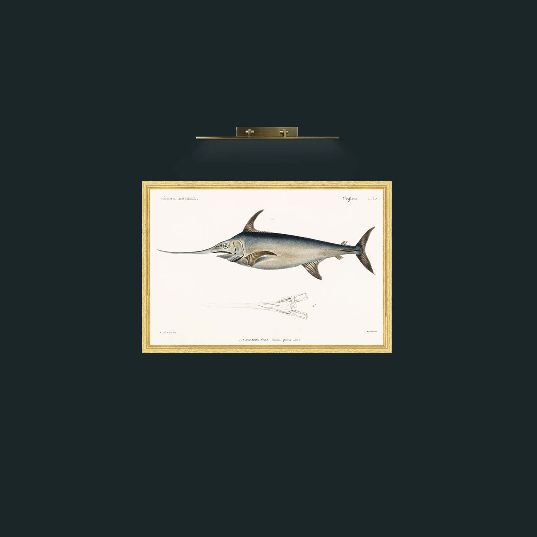 Art-Sword Fish-Frame-4BevelledGilt.jpg