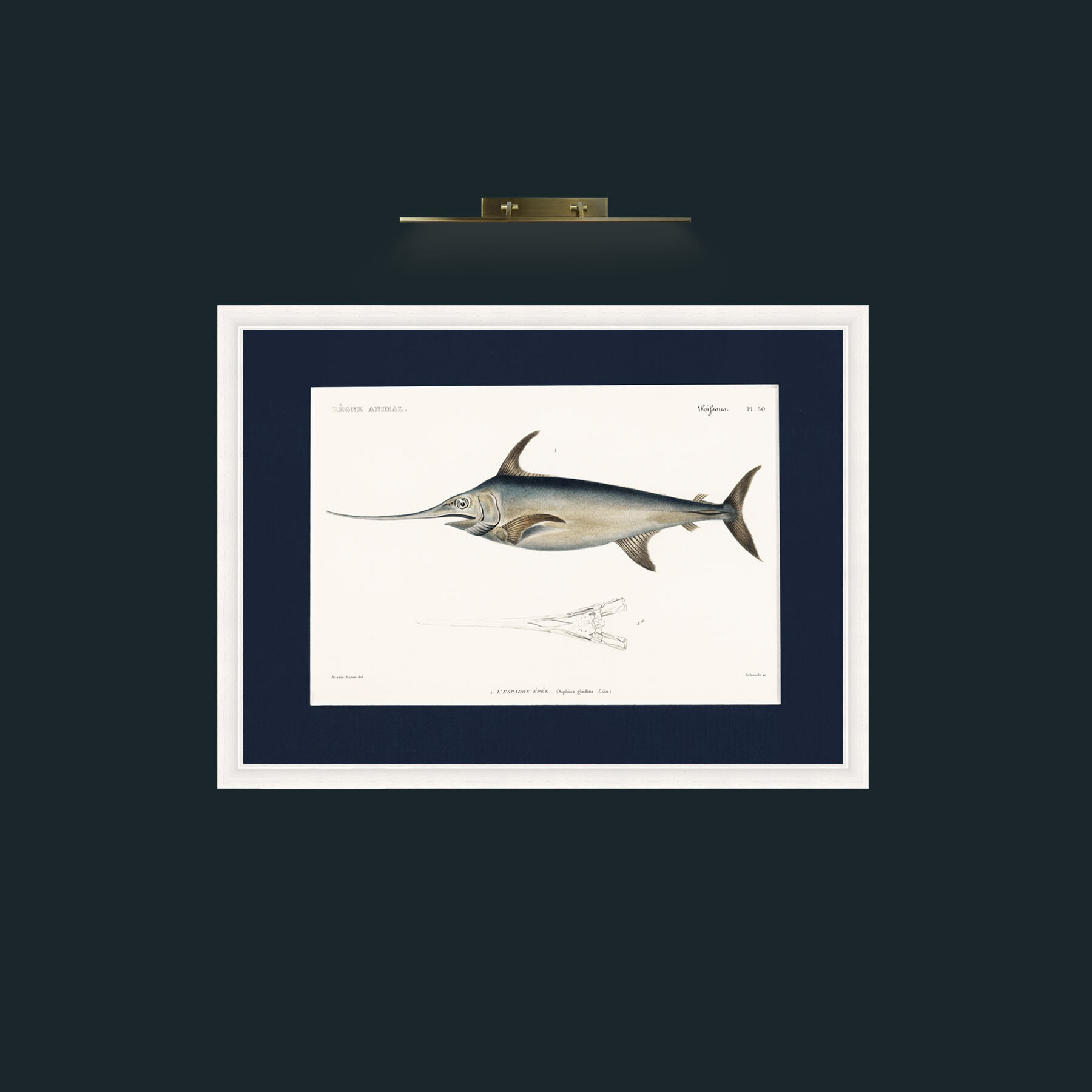 Art-Sword Fish-Frame-5White-Mount-3Blue.jpg