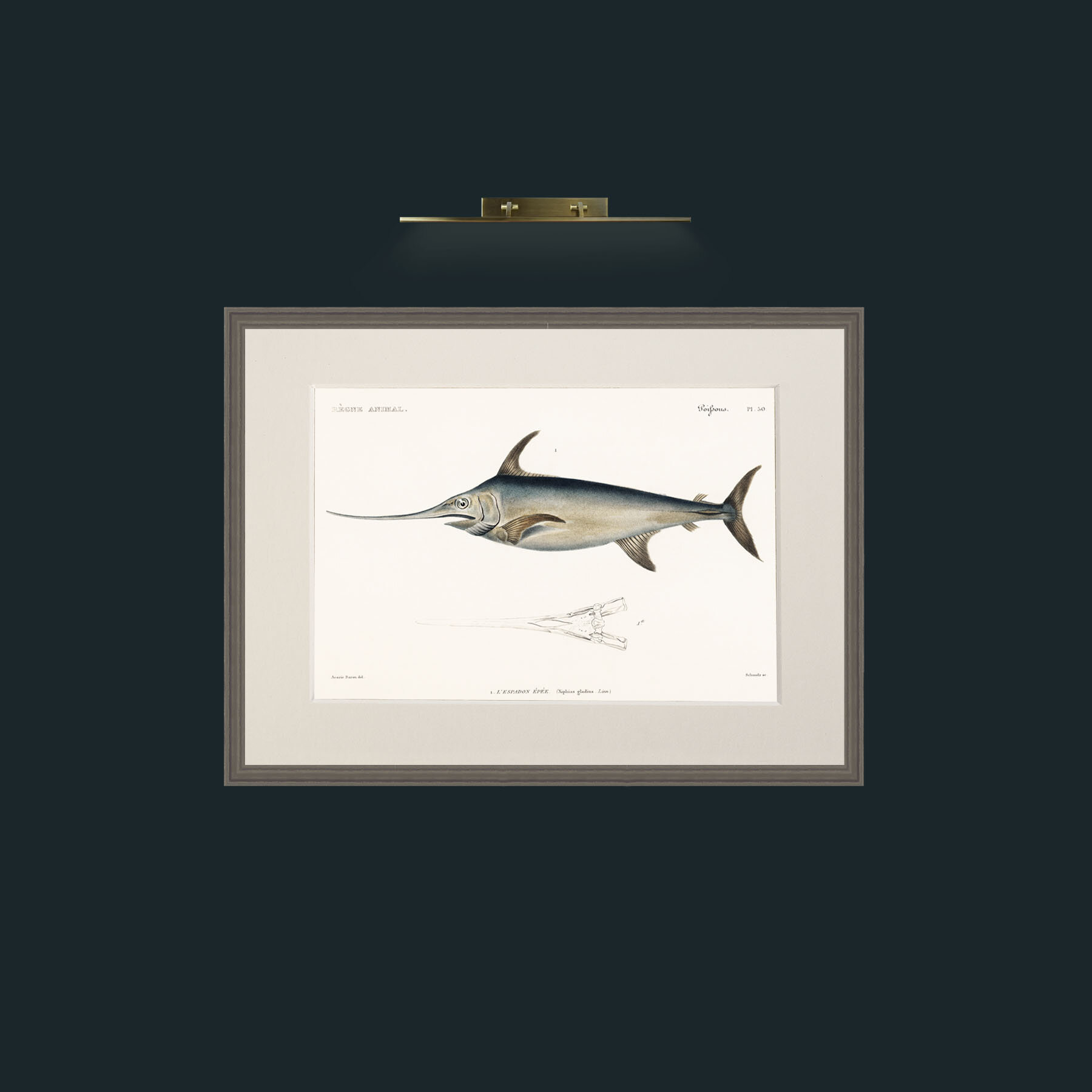Art-Sword Fish-Frame-6Grey-Mount-1Antique.jpg