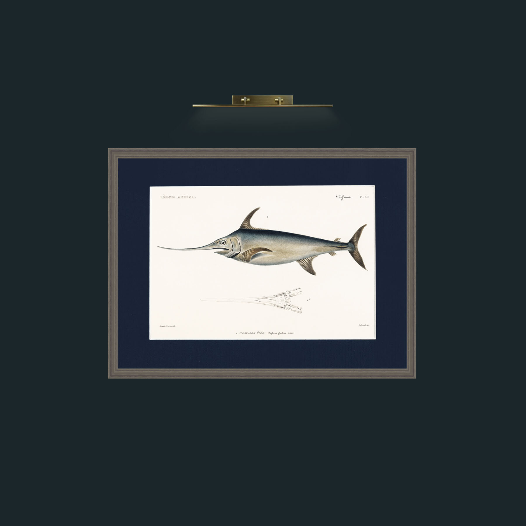 Art-Sword Fish-Frame-6Grey-Mount-3Blue.jpg