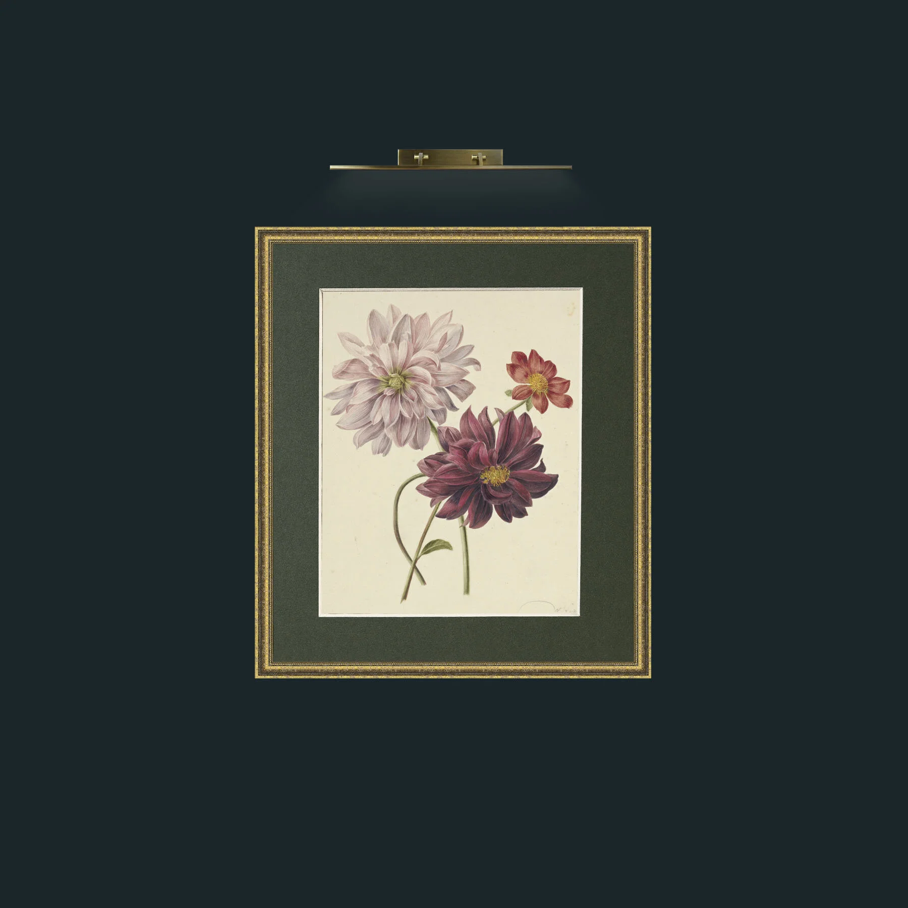 Art-DahliasFrame-1GiltTextured-Mount-2Green-Art-Dahlias.jpg