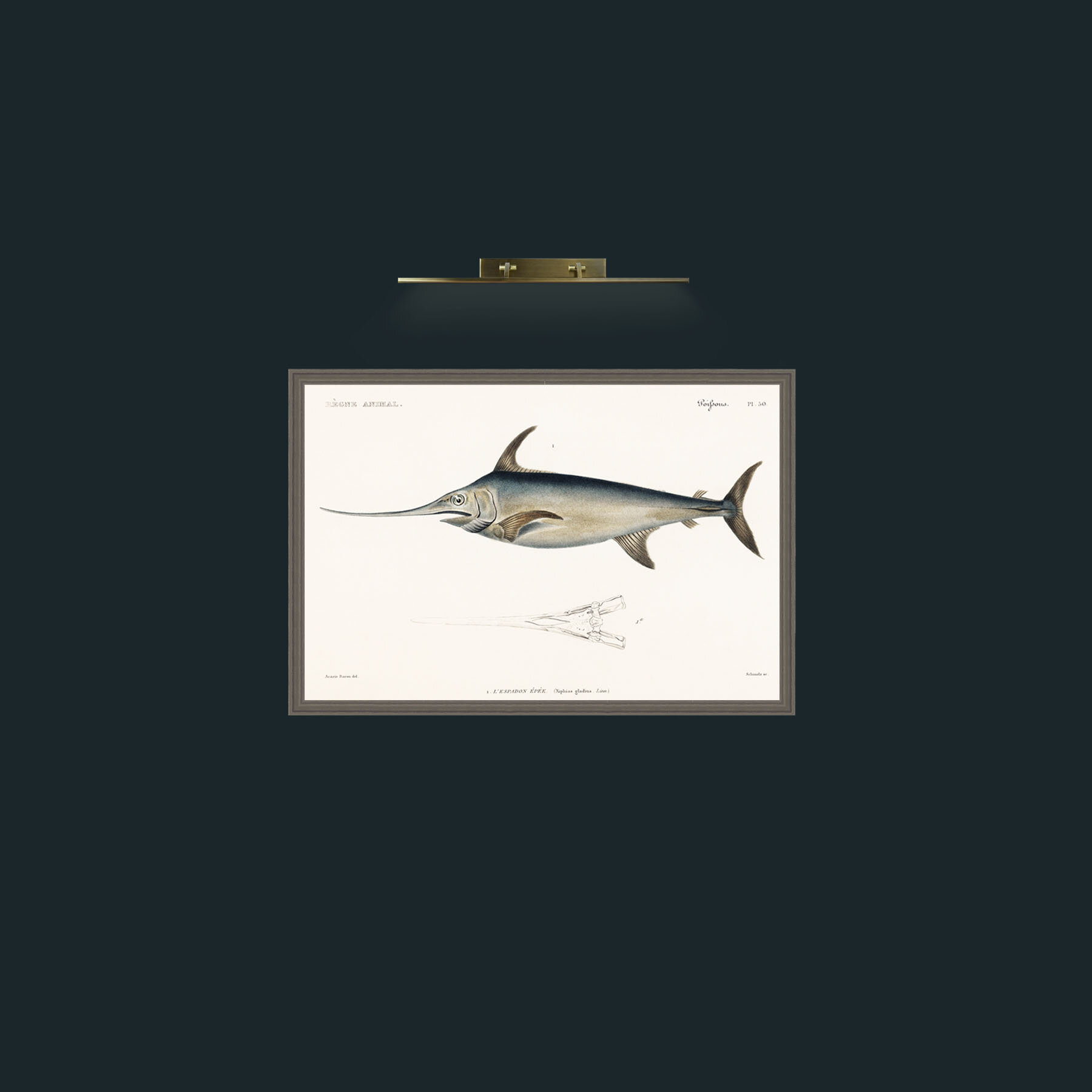 Art-Sword Fish-Frame-6Grey.jpg