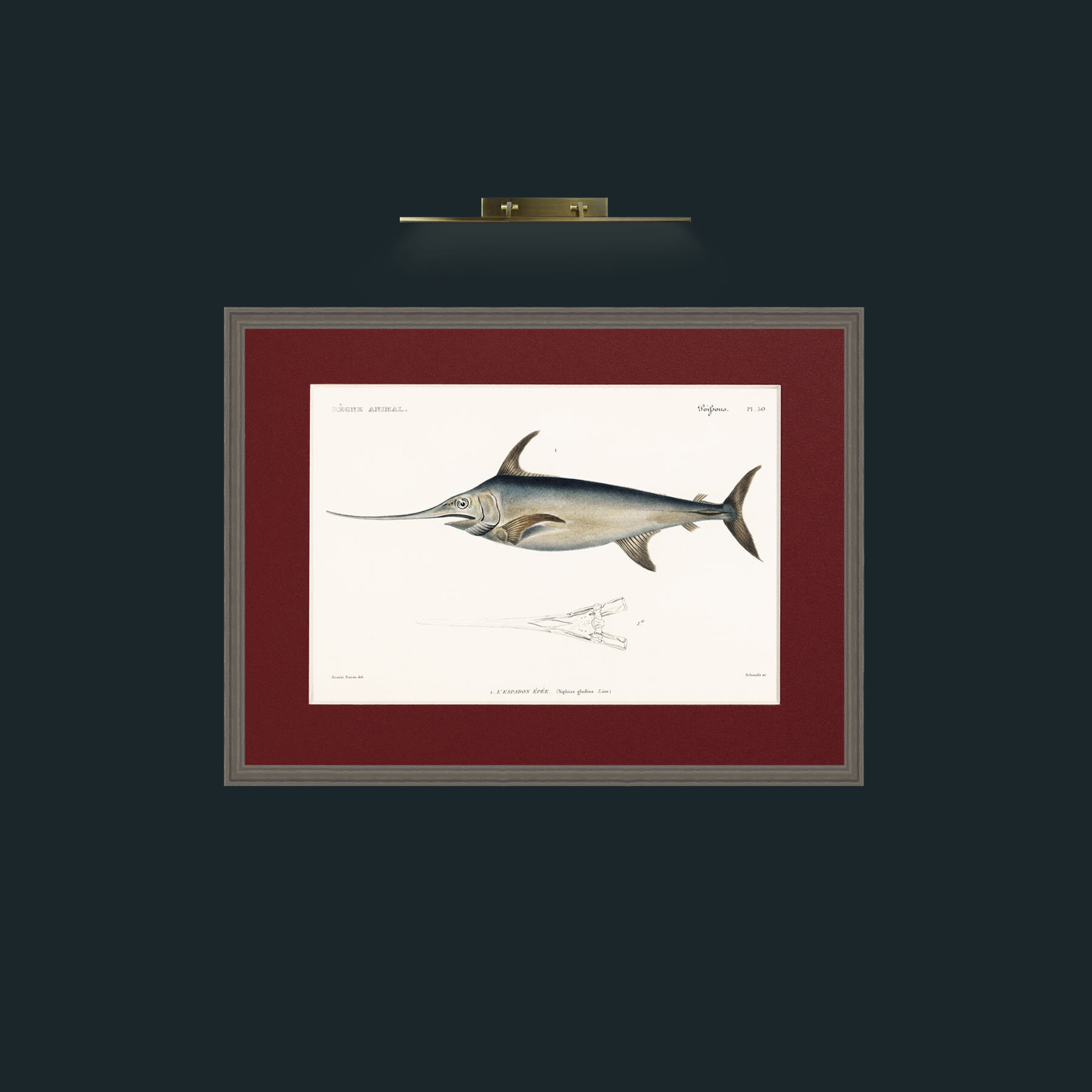 Art-Sword Fish-Frame-6Grey-Mount-4Red.jpg