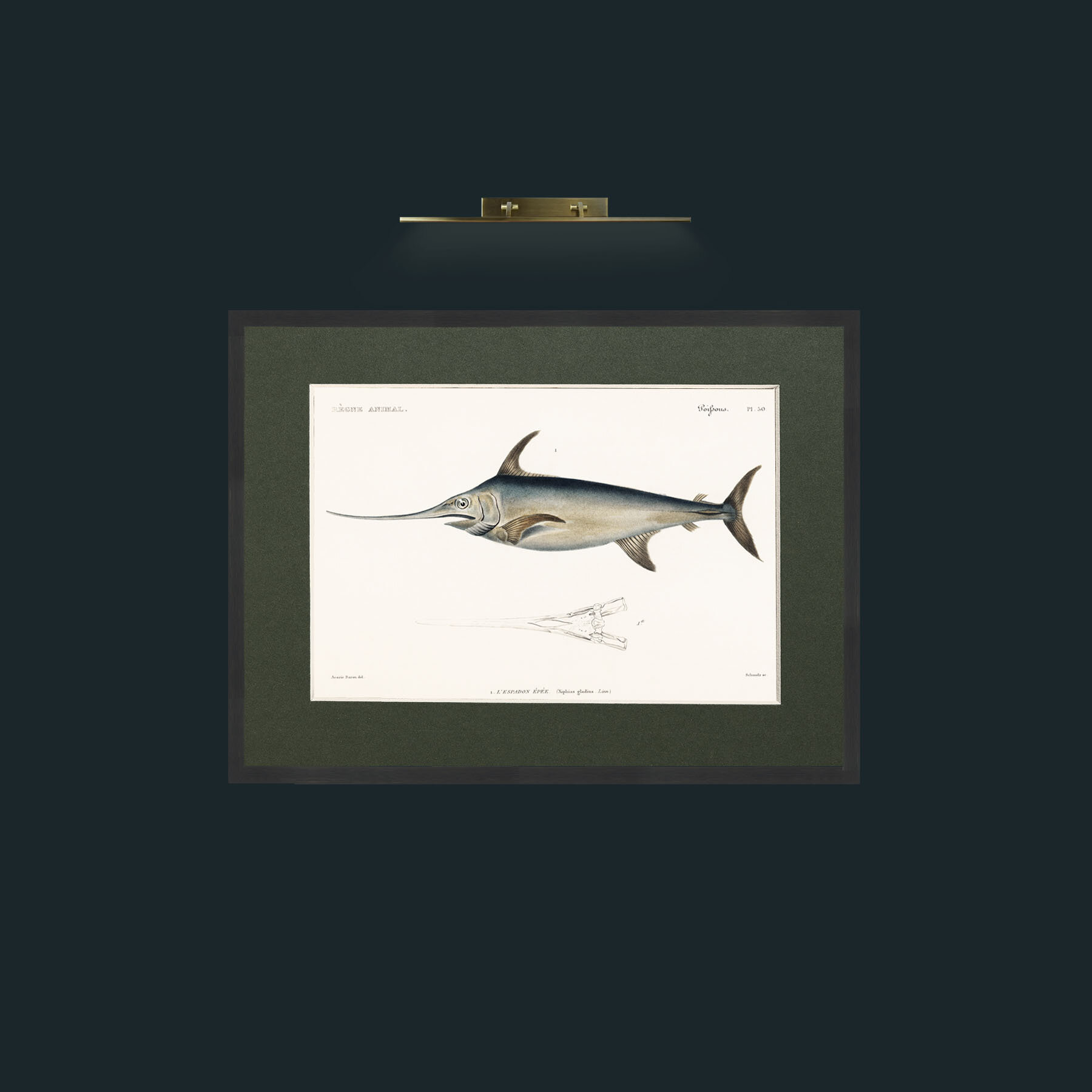 Art-Sword Fish-Frame-7Black-Mount-2Green.jpg