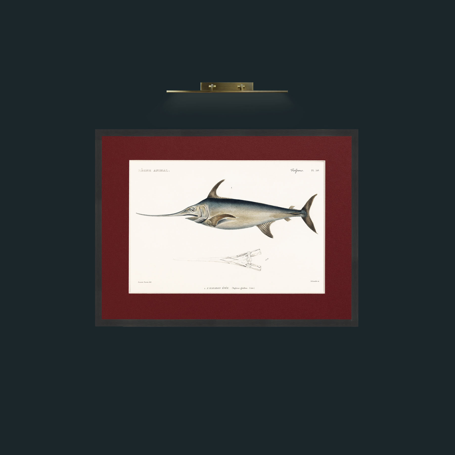 Art-Sword Fish-Frame-7Black-Mount-4Red.jpg