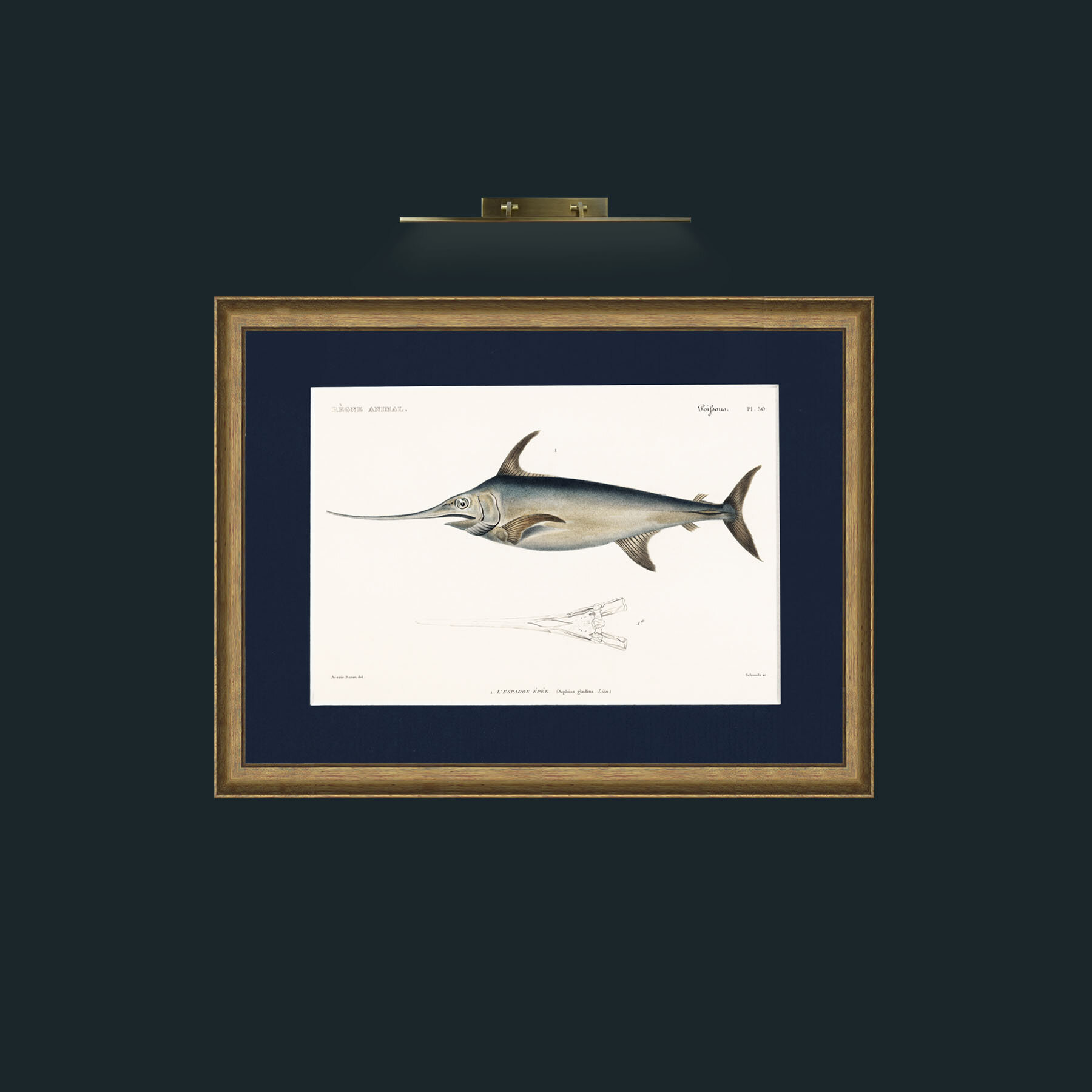 Art-Sword Fish-Frame-8AntiqueRedGoldGilt-Mount-3Blue.jpg