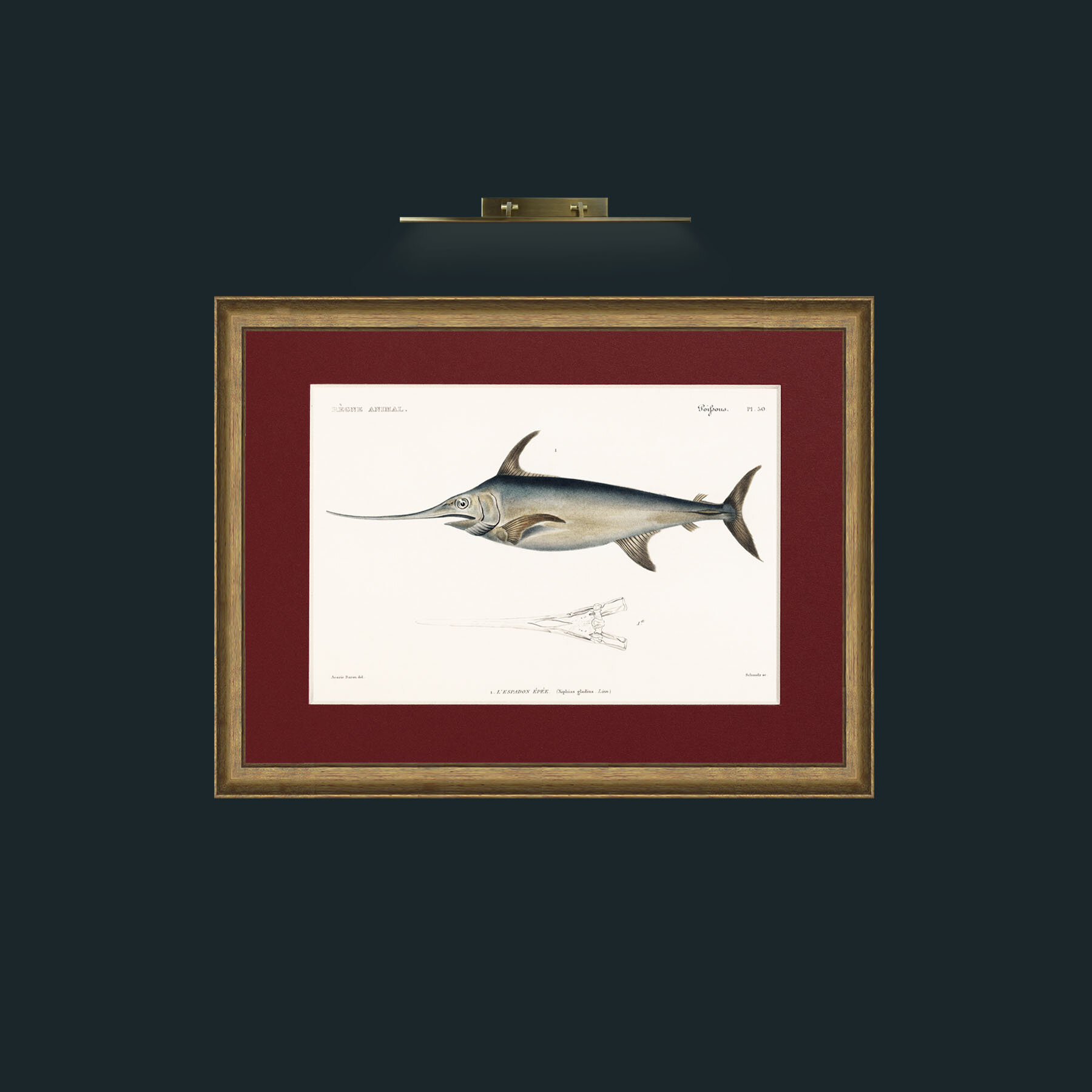 Art-Sword Fish-Frame-8AntiqueRedGoldGilt-Mount-4Red.jpg