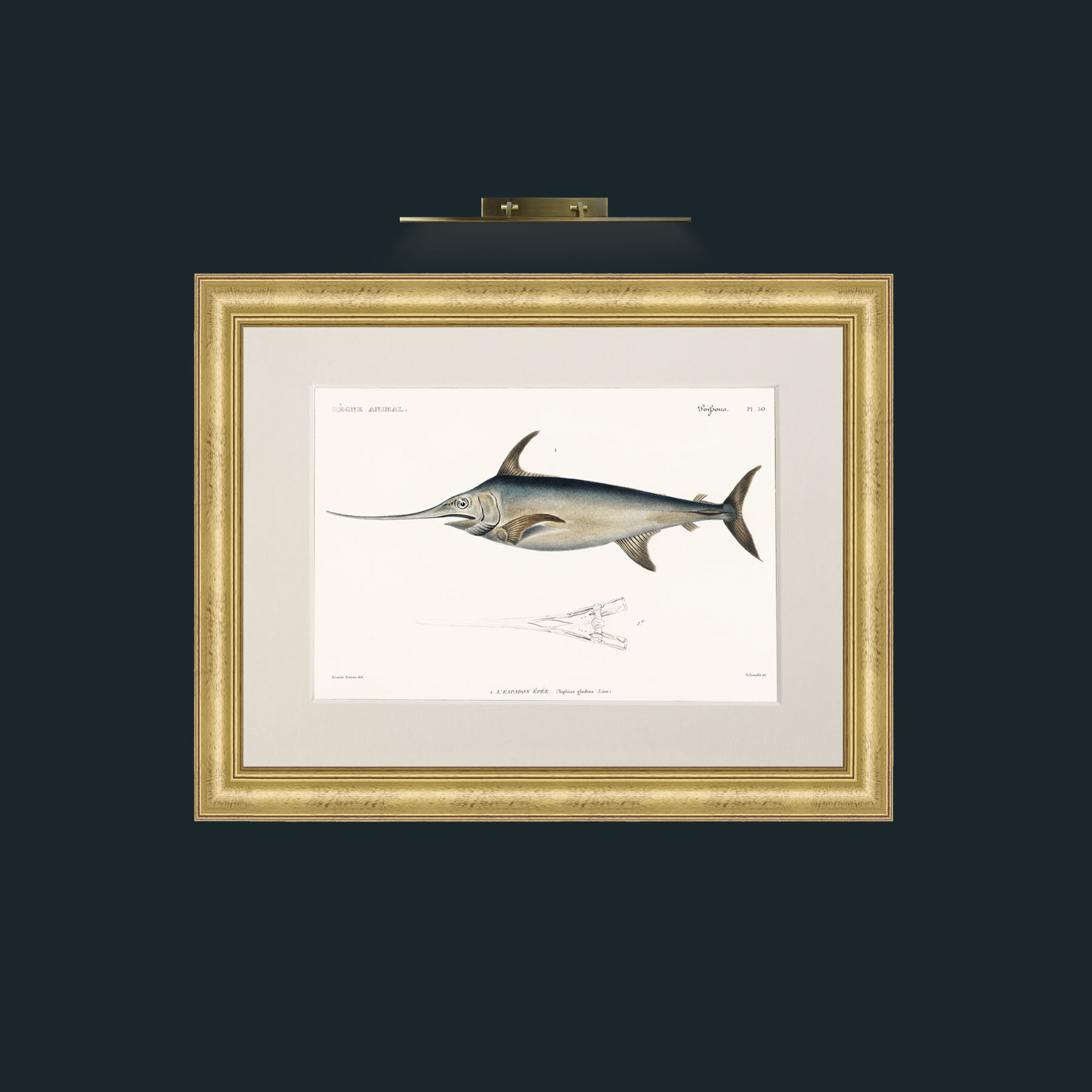 Art-Sword Fish-Frame-9WideGilt-Mount-1Antique.jpg
