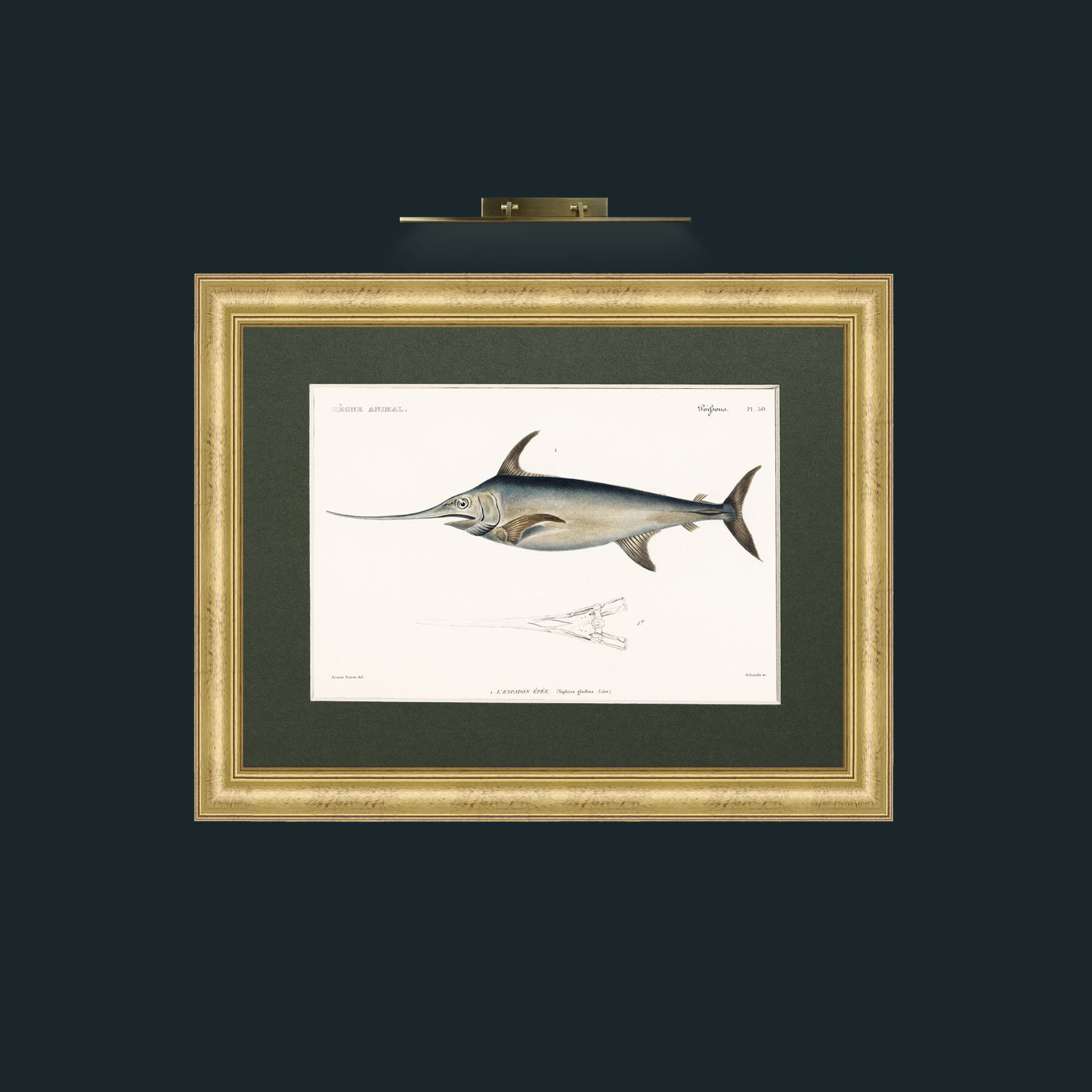 Art-Sword Fish-Frame-9WideGilt-Mount-2Green.jpg