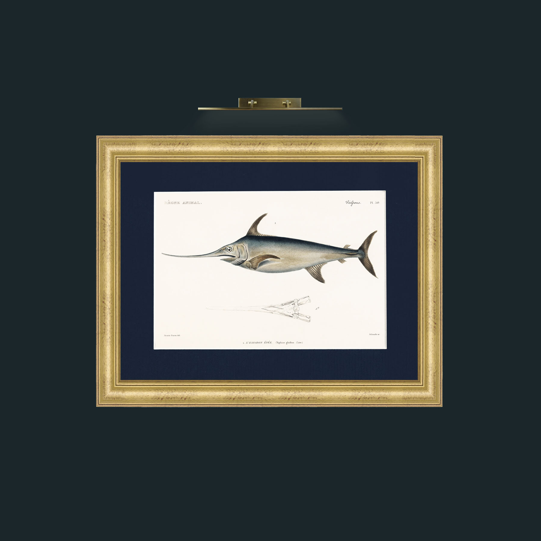Art-Sword Fish-Frame-9WideGilt-Mount-3Blue.jpg