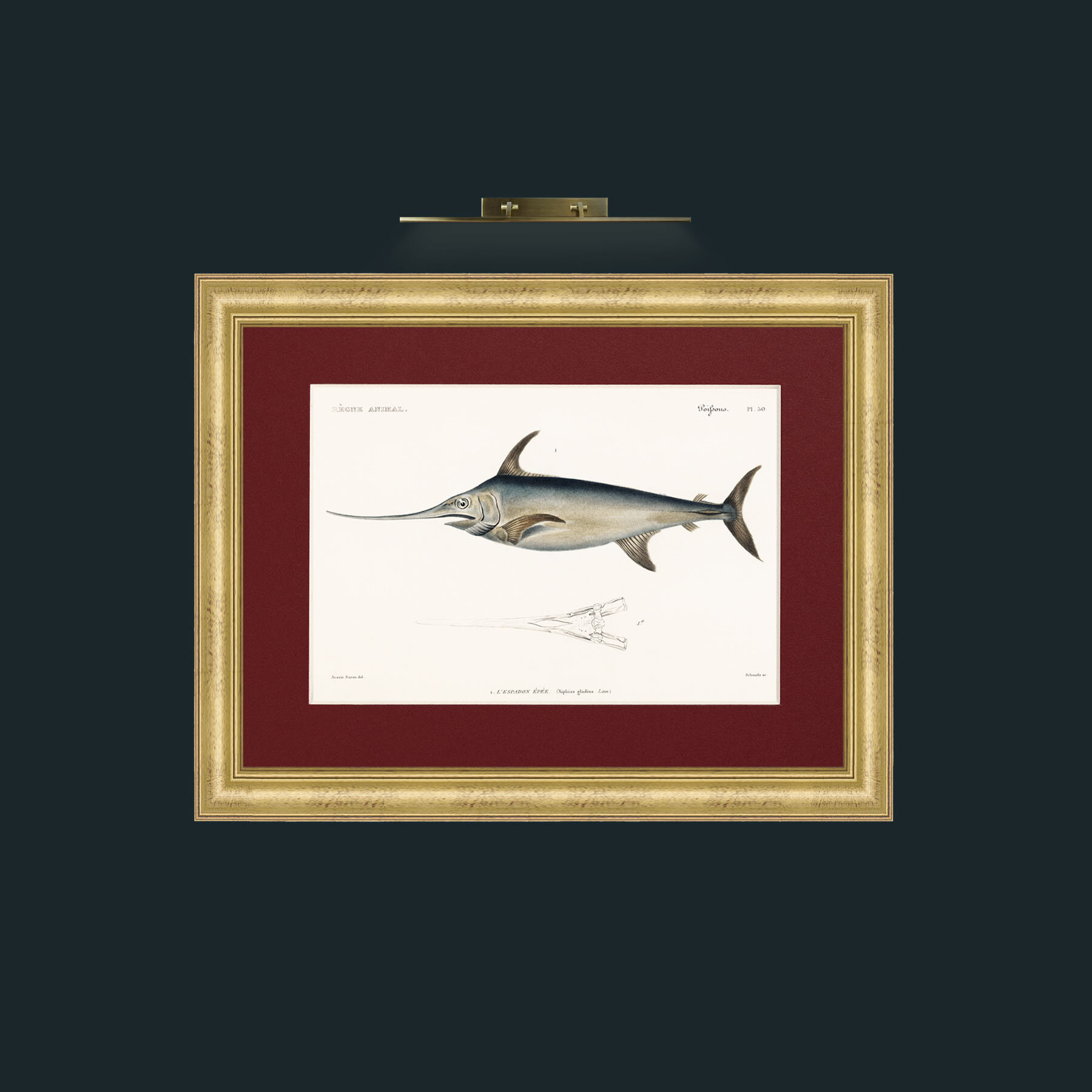 Art-Sword Fish-Frame-9WideGilt-Mount-4Red.jpg